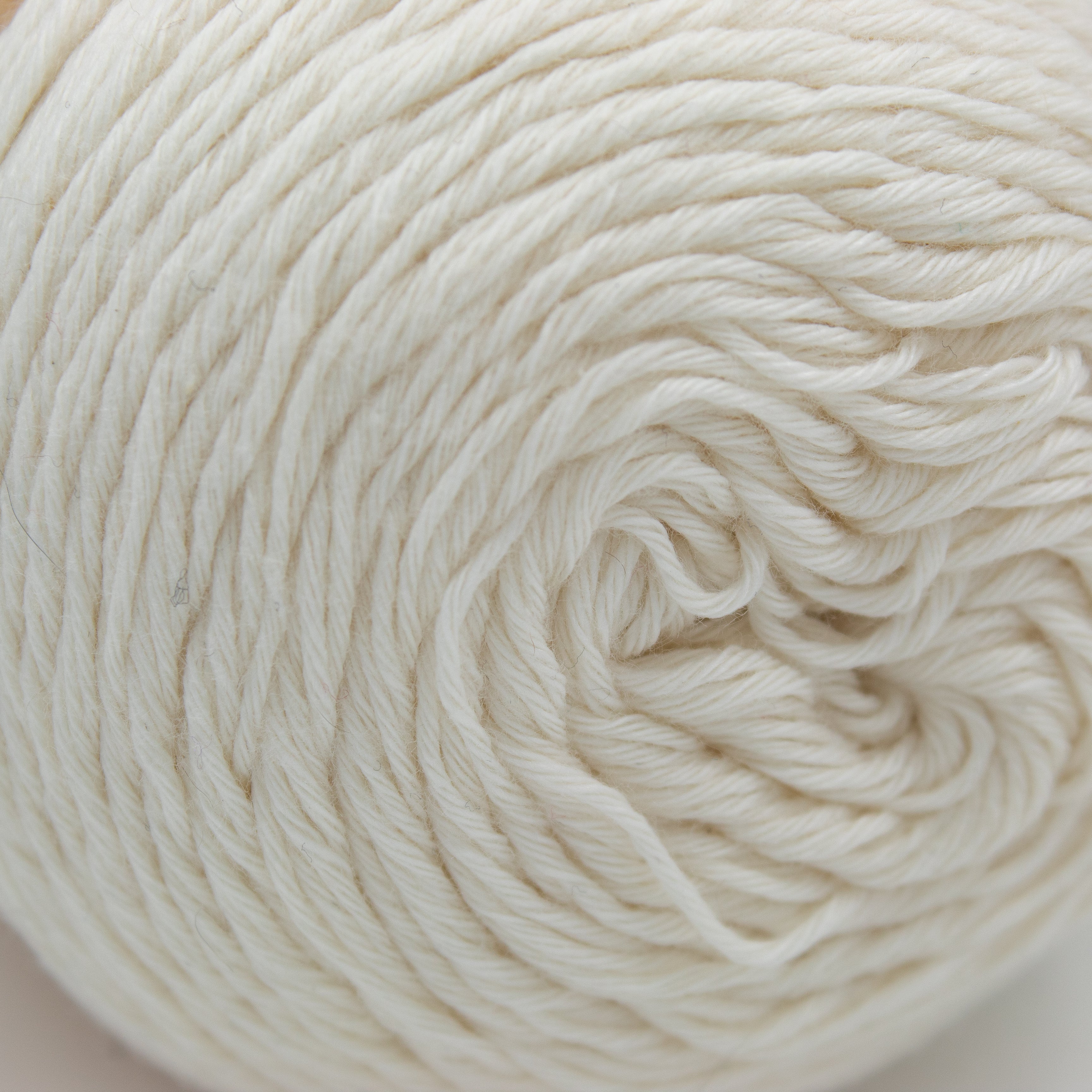 Scheepjes Whirlette in Ice