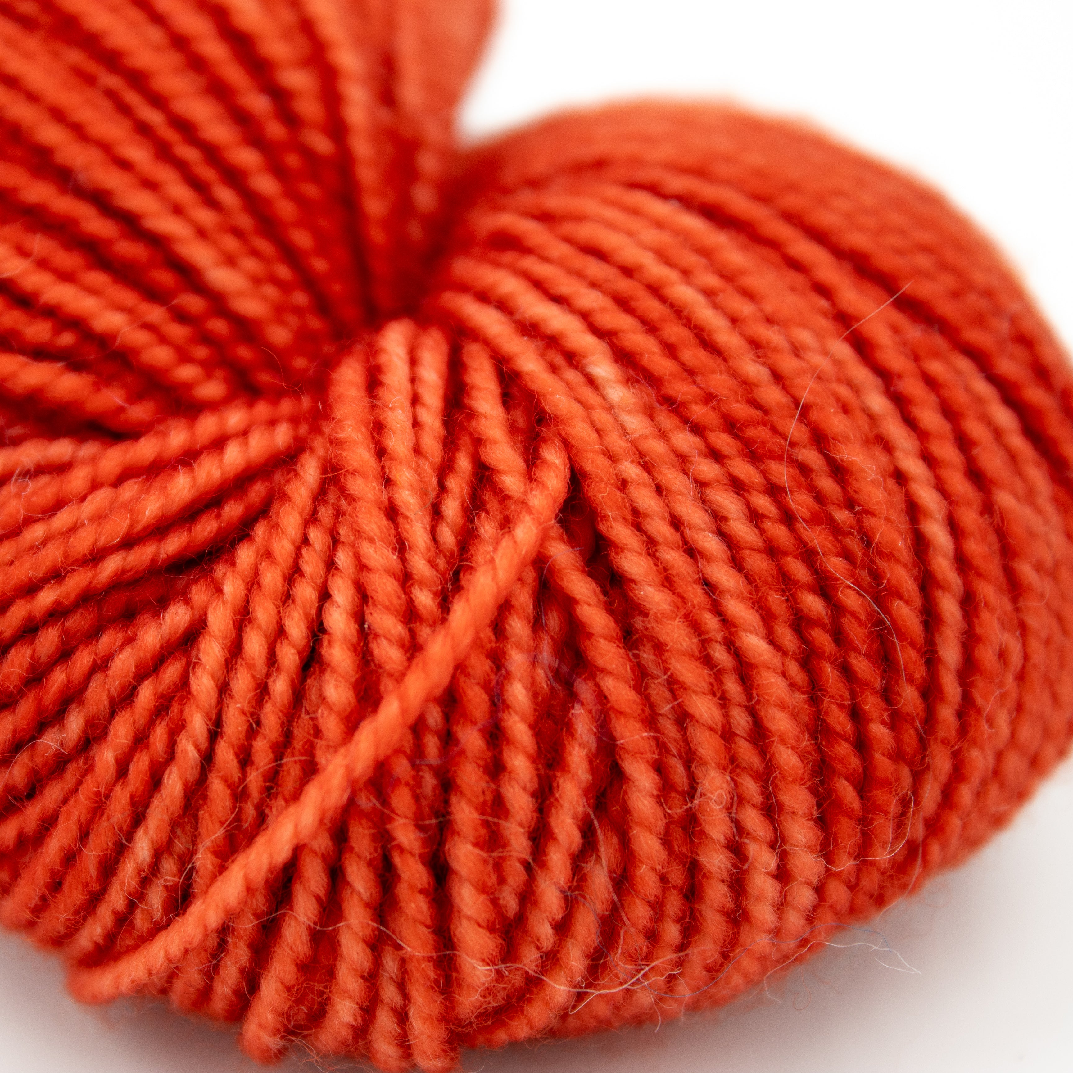 Camp Color CC Fingering in Audiophile