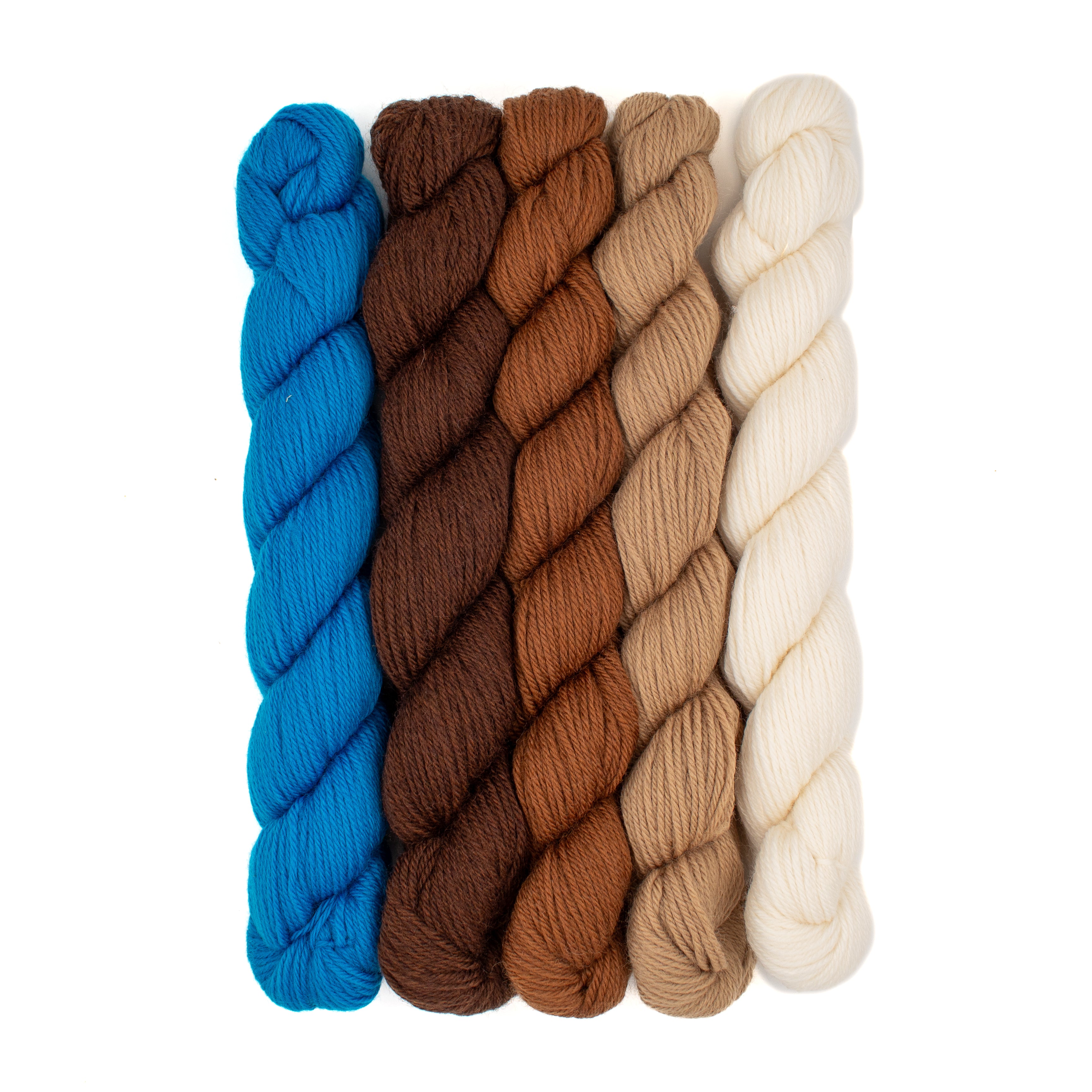 Cloudborn Fibers Merino Superwash Sock Twist Mini Set in Superb Starling