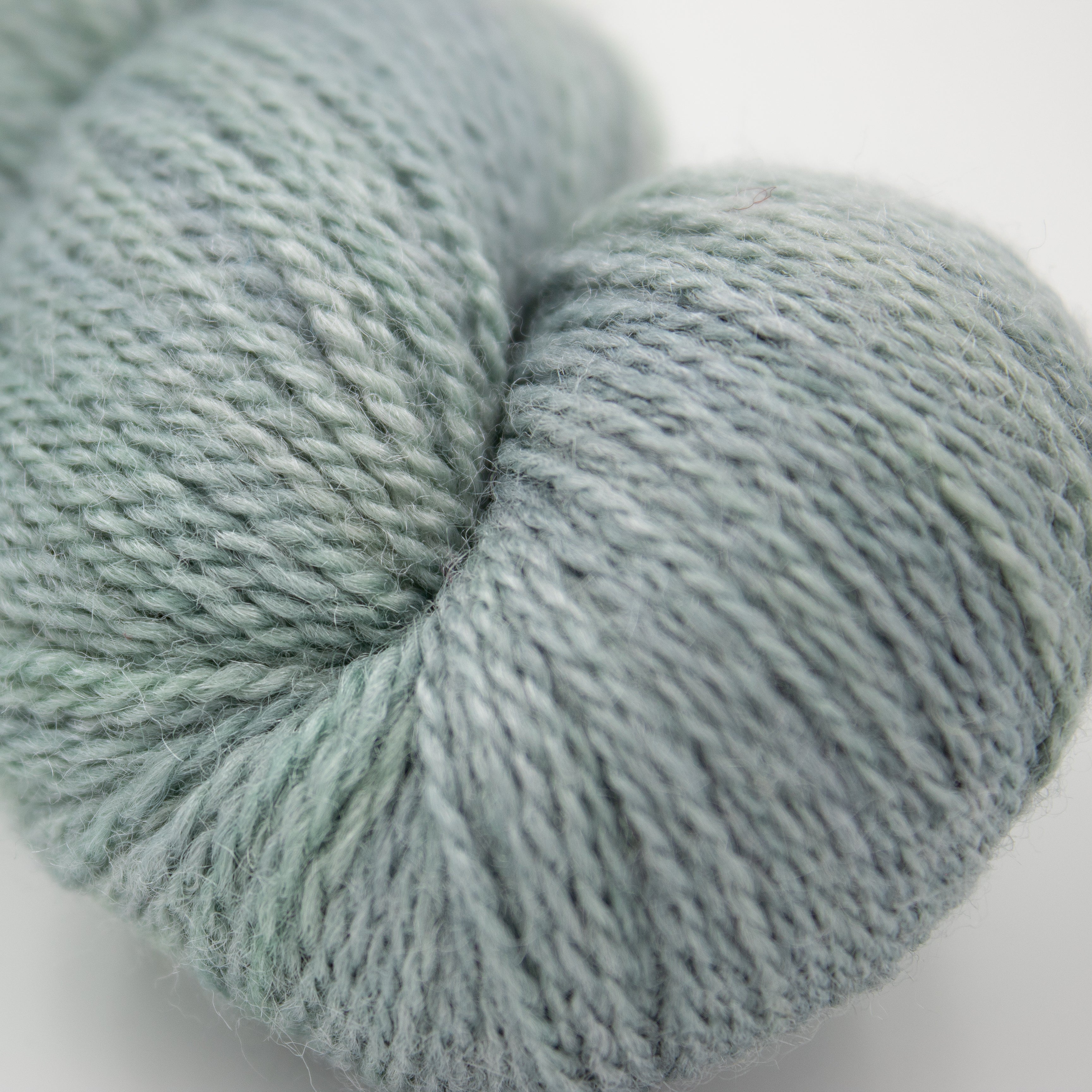 Miss Babs Yet in Oregon Mist