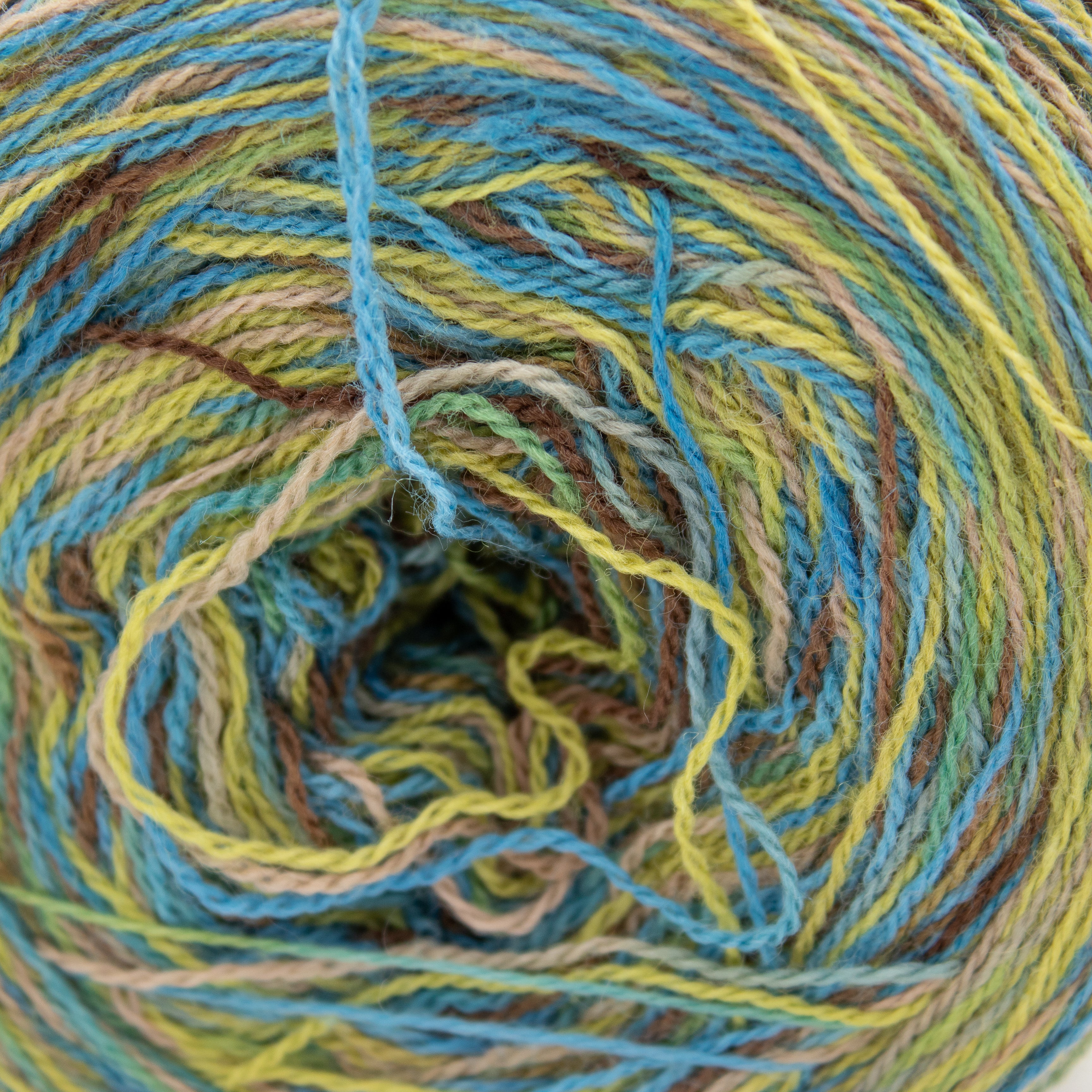 Lorna's Laces Helen's Lace Multi (CAKED)