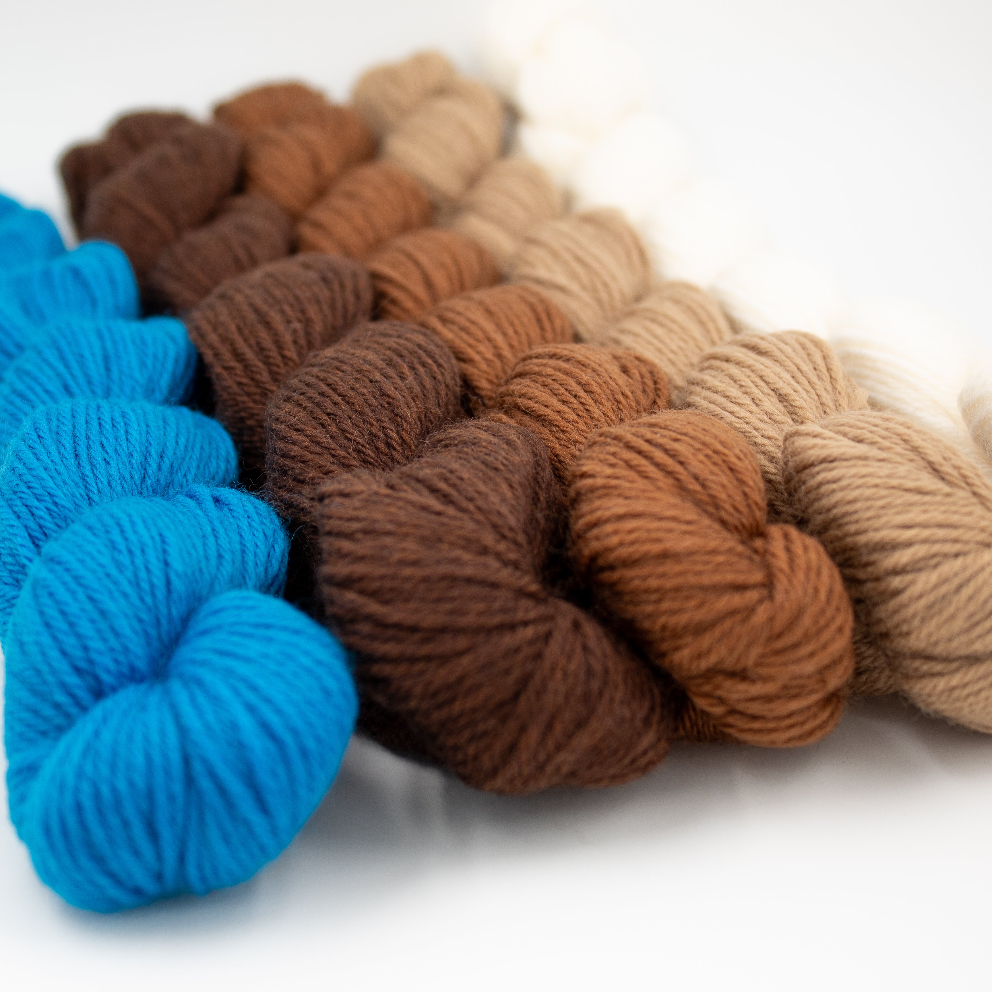 Cloudborn Fibers Merino Superwash Sock Twist Mini Set in Superb Starling