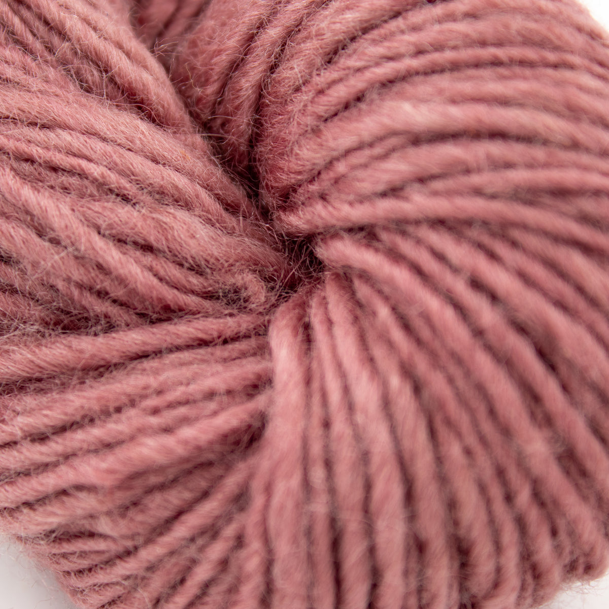 Anthea Plant-Dyed Yarns SILKenWOOL in 81