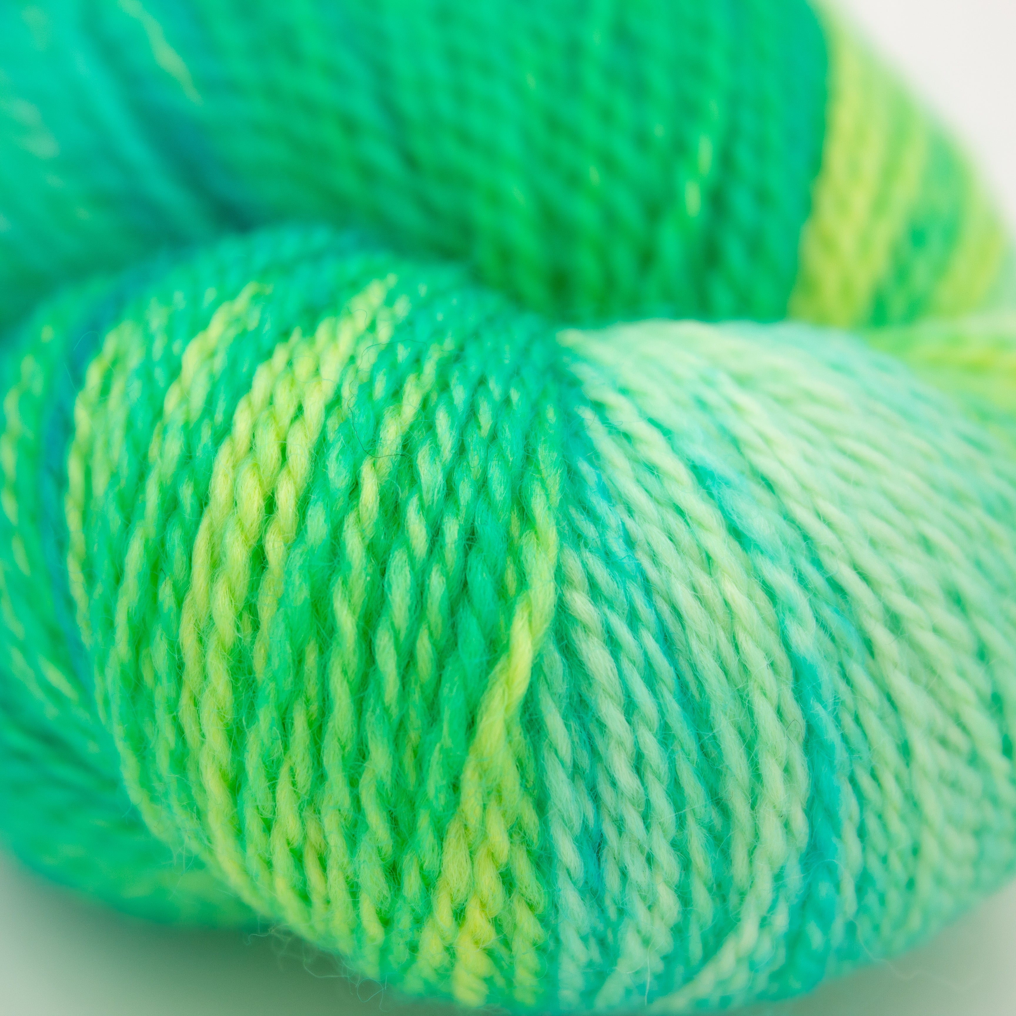 Apple Tree Knits Plush Fingering in Plush Mint