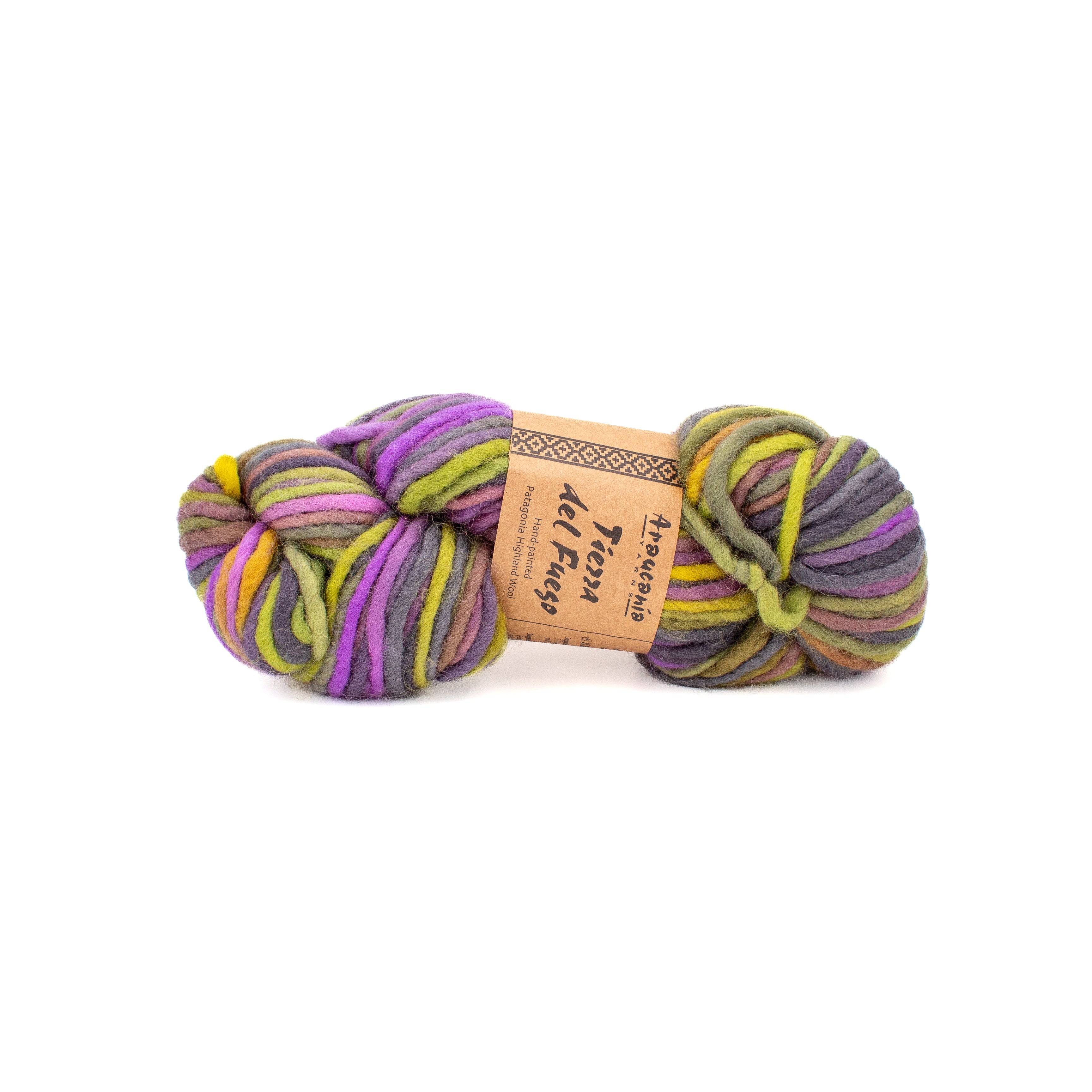 Araucania Yarns Tierra del Fuego in Fitz Roy