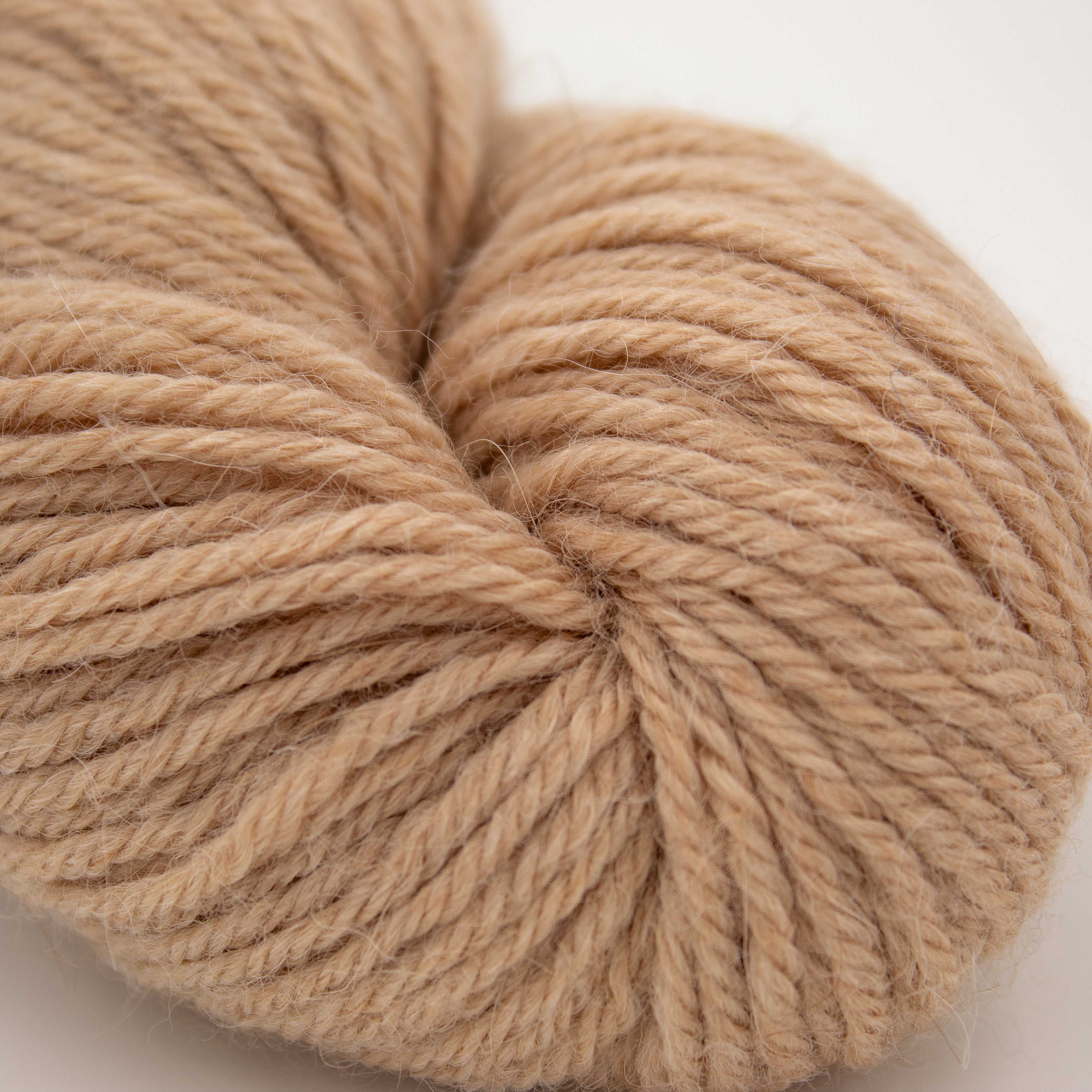 Baah Yarn Eco Baby Alpaca in Dulce de Leche