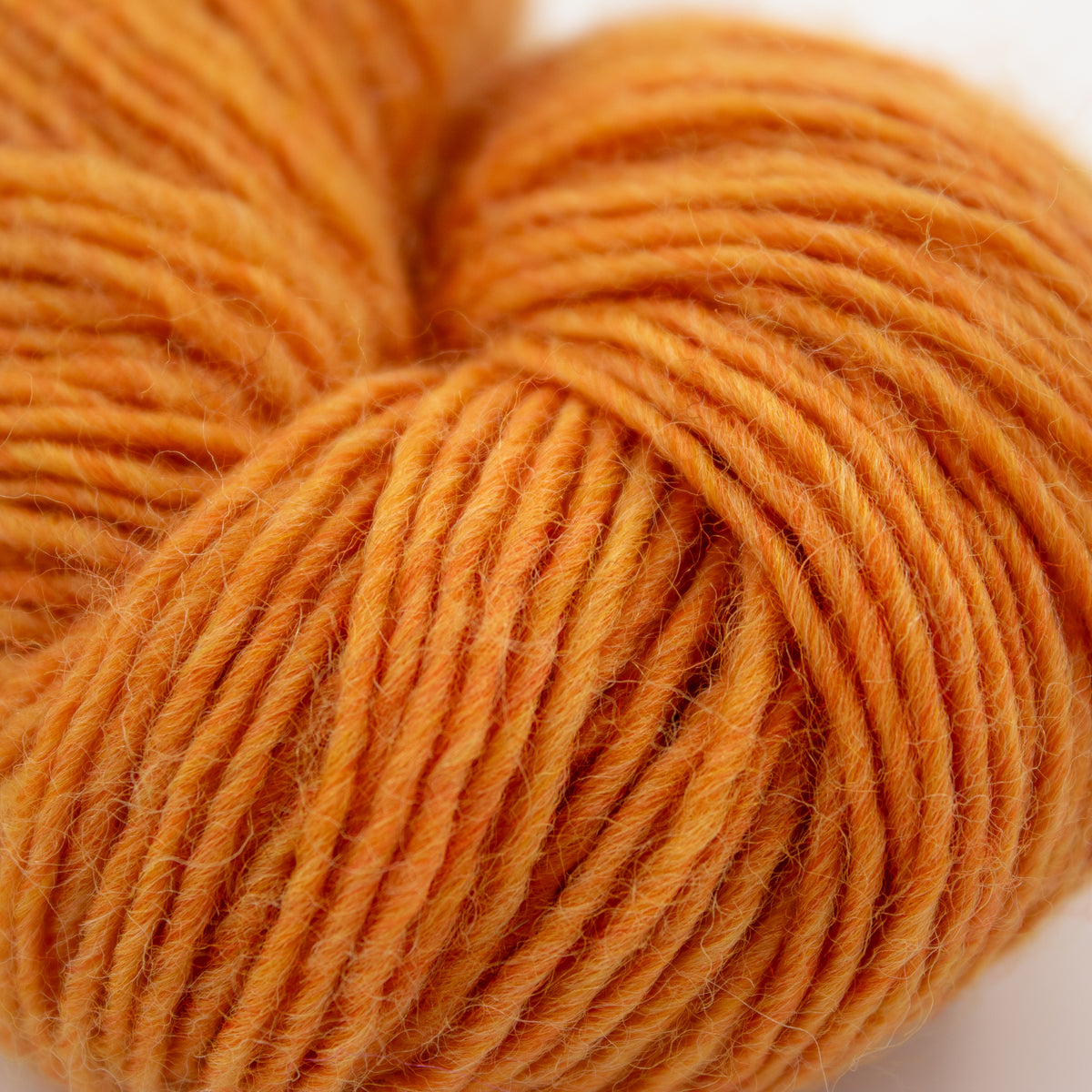 Blue Sky Fibers Woolstok Fingering in Ember Glow