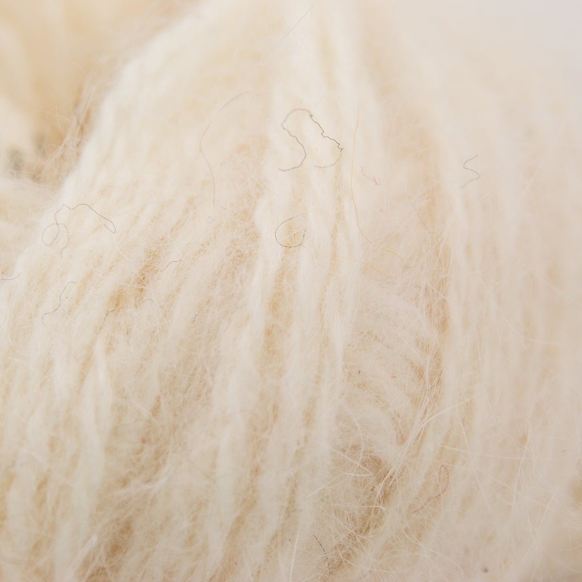 Bouton D'Or Angora 70% in Blanc