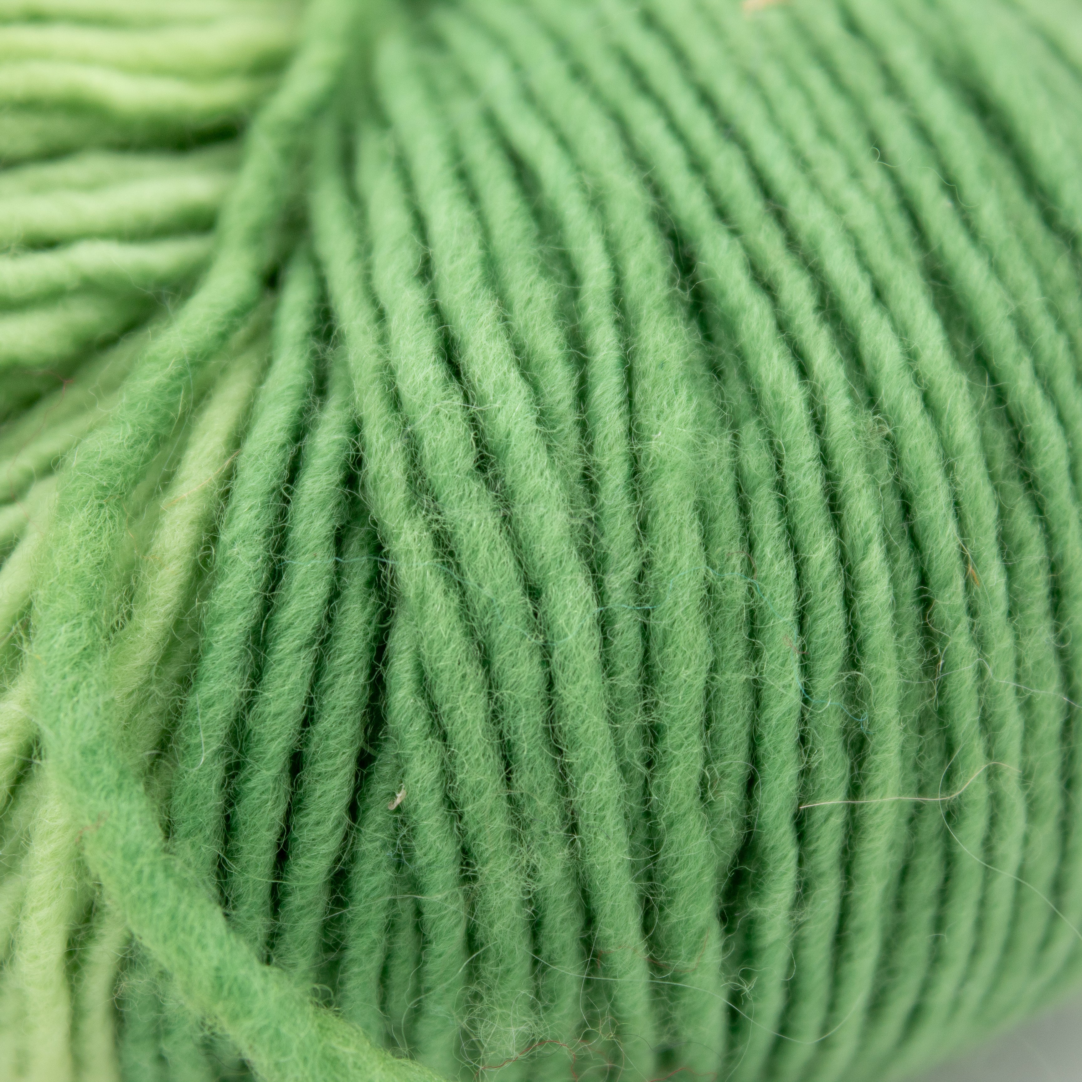 Brooks Farm Yarn Solo in Green