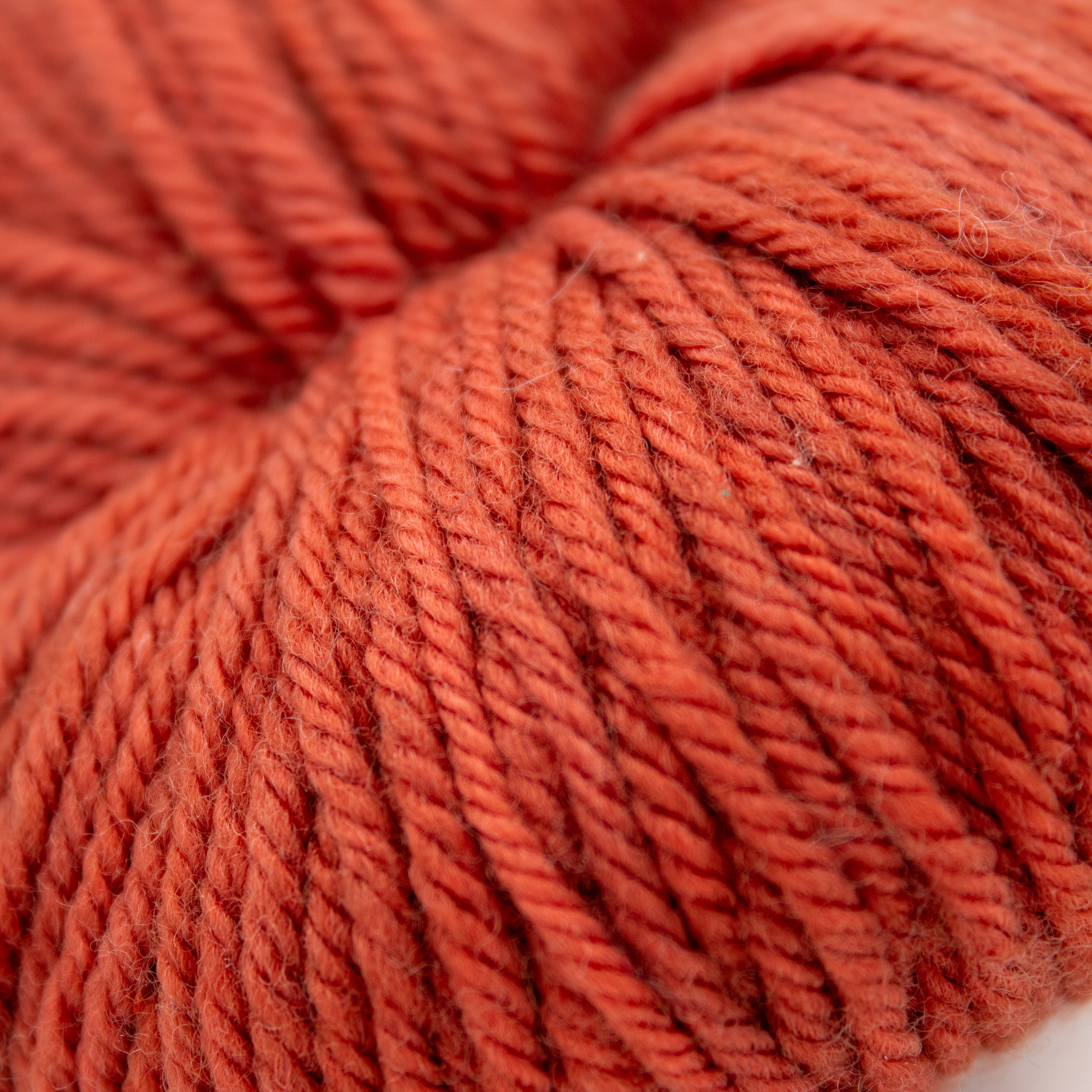 Camellia Fiber Co CFC Merino Worsted in Garden Rose