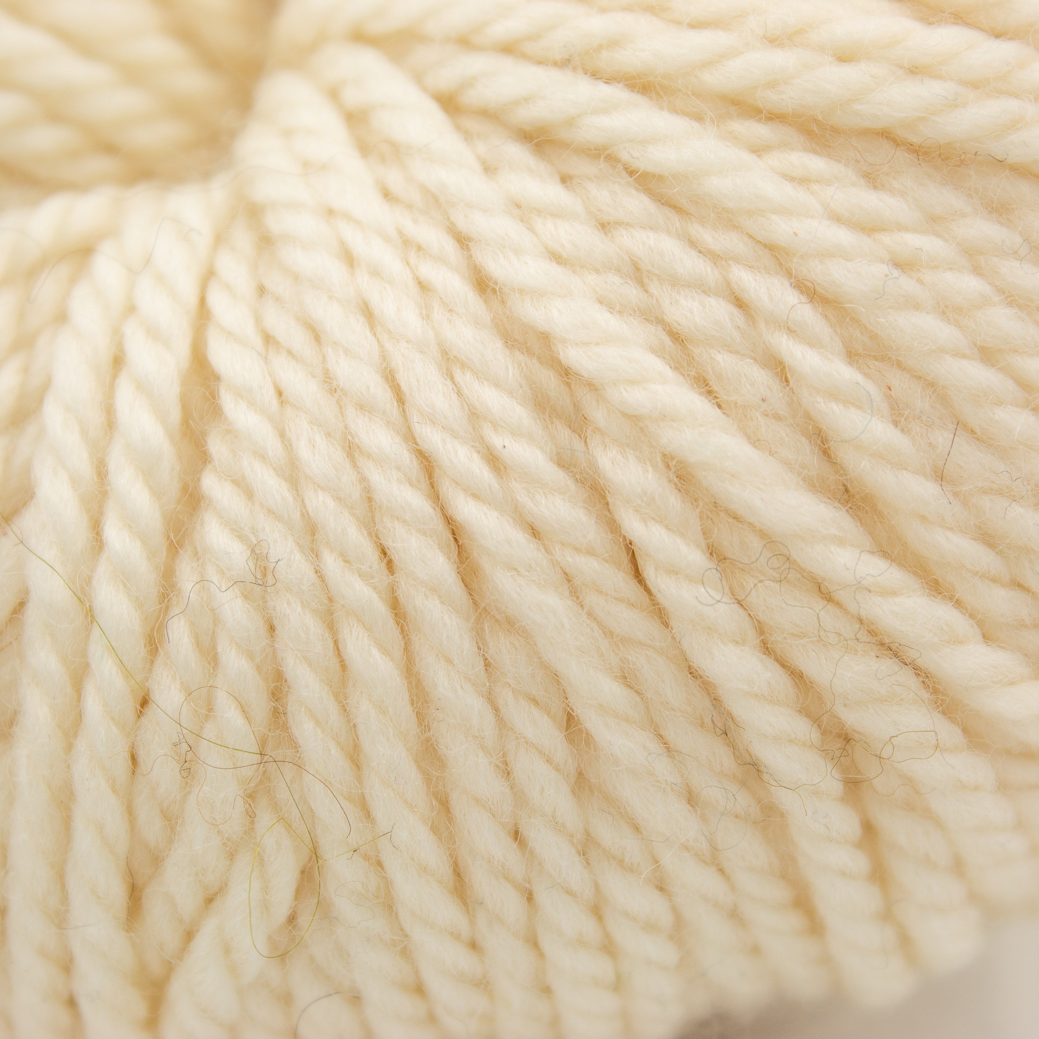 Camellia Fiber Co Merino Aran in Cream
