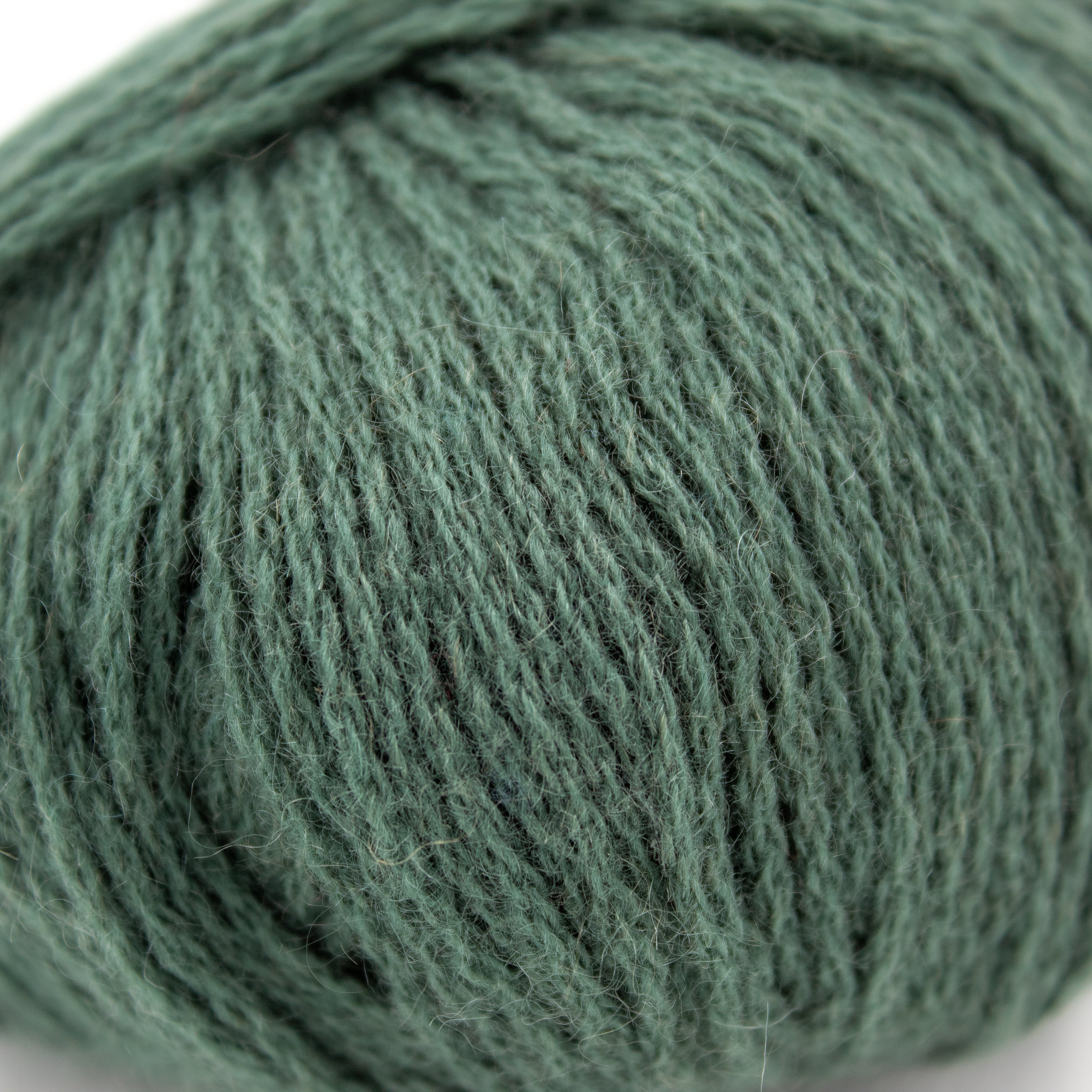 Cardiff Cashmere Cashmere Classic in Bosco