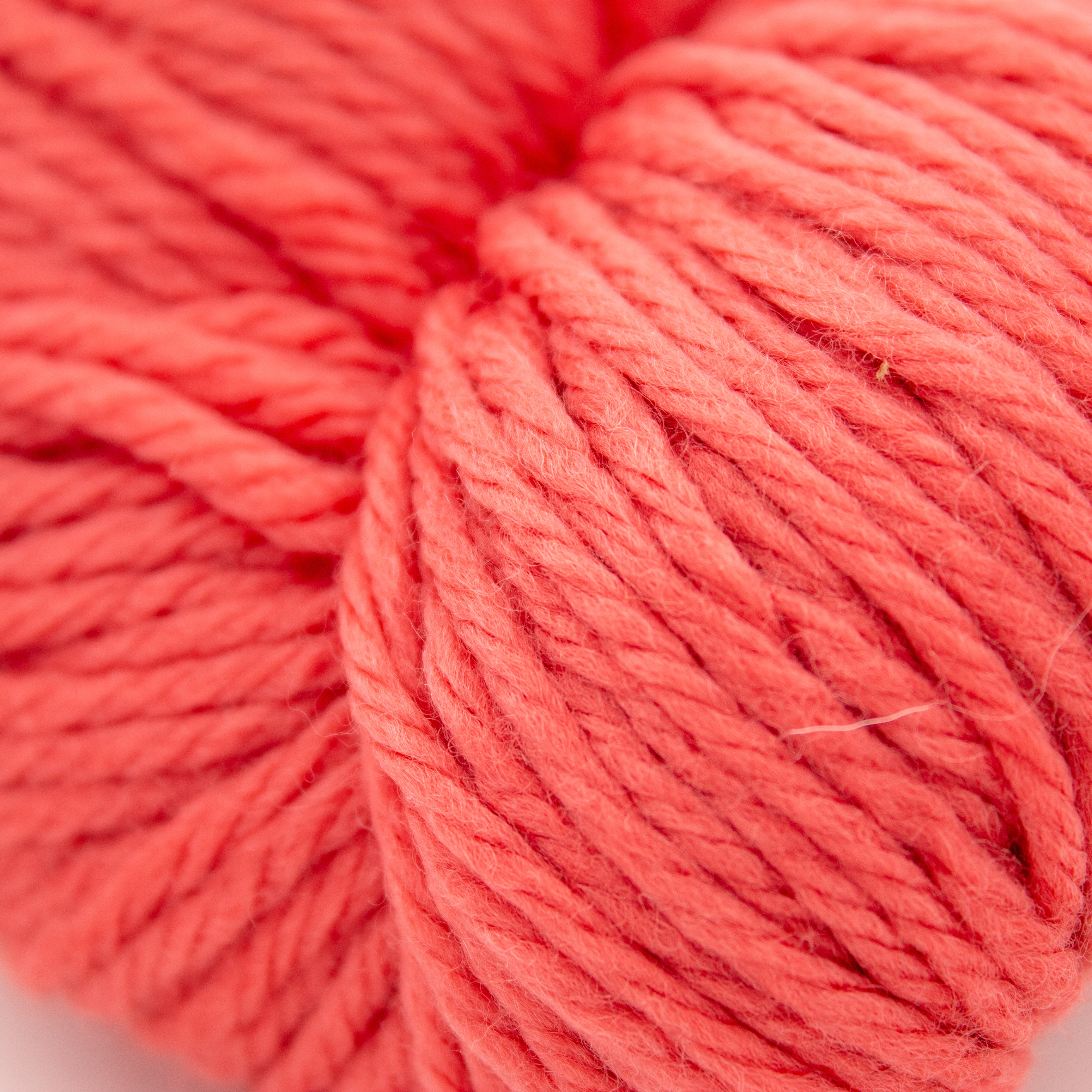 Cascade 220 Superwash Aran in Deep Sea Coral