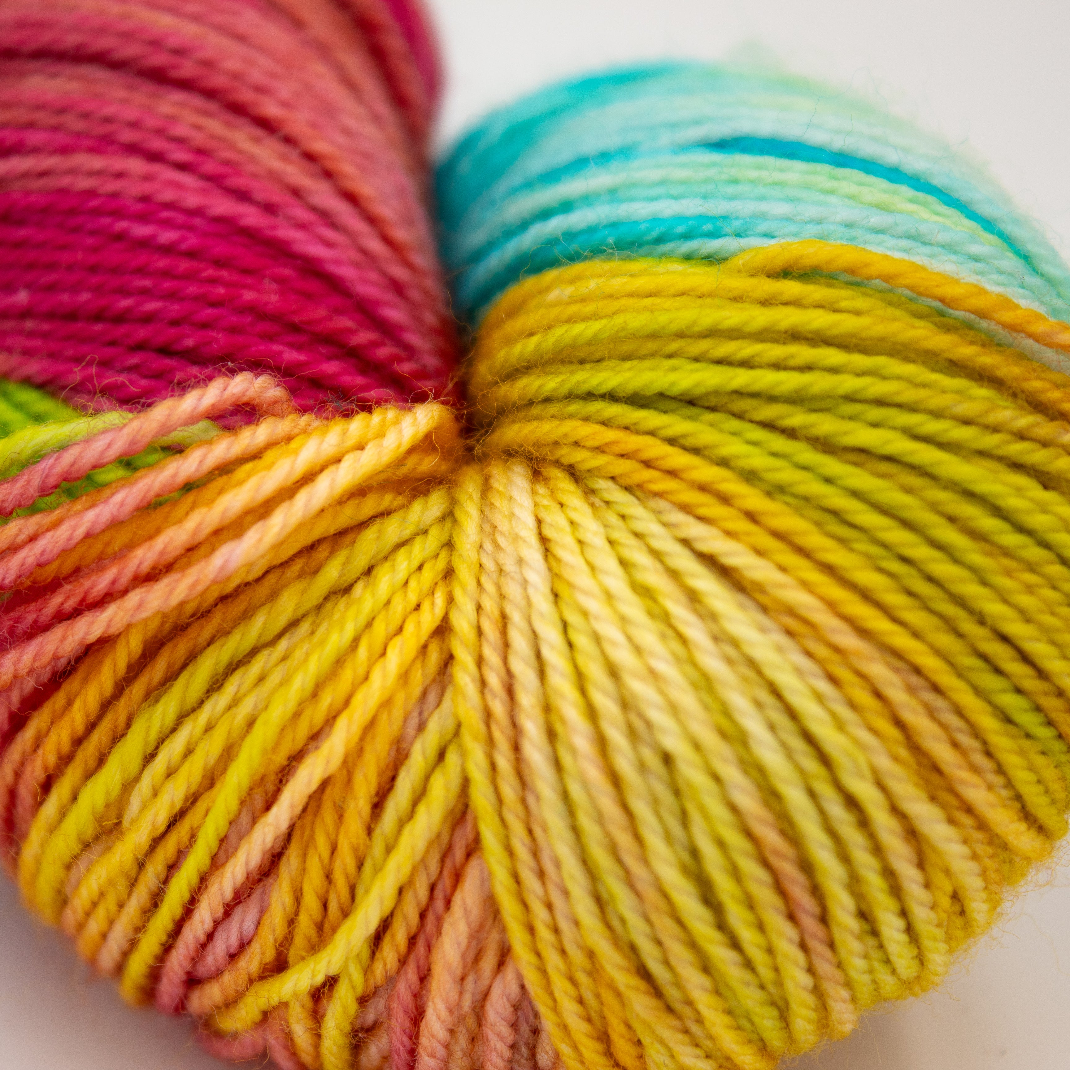 Cat Tails Yarn Bombay in Rainbow of Doubloons