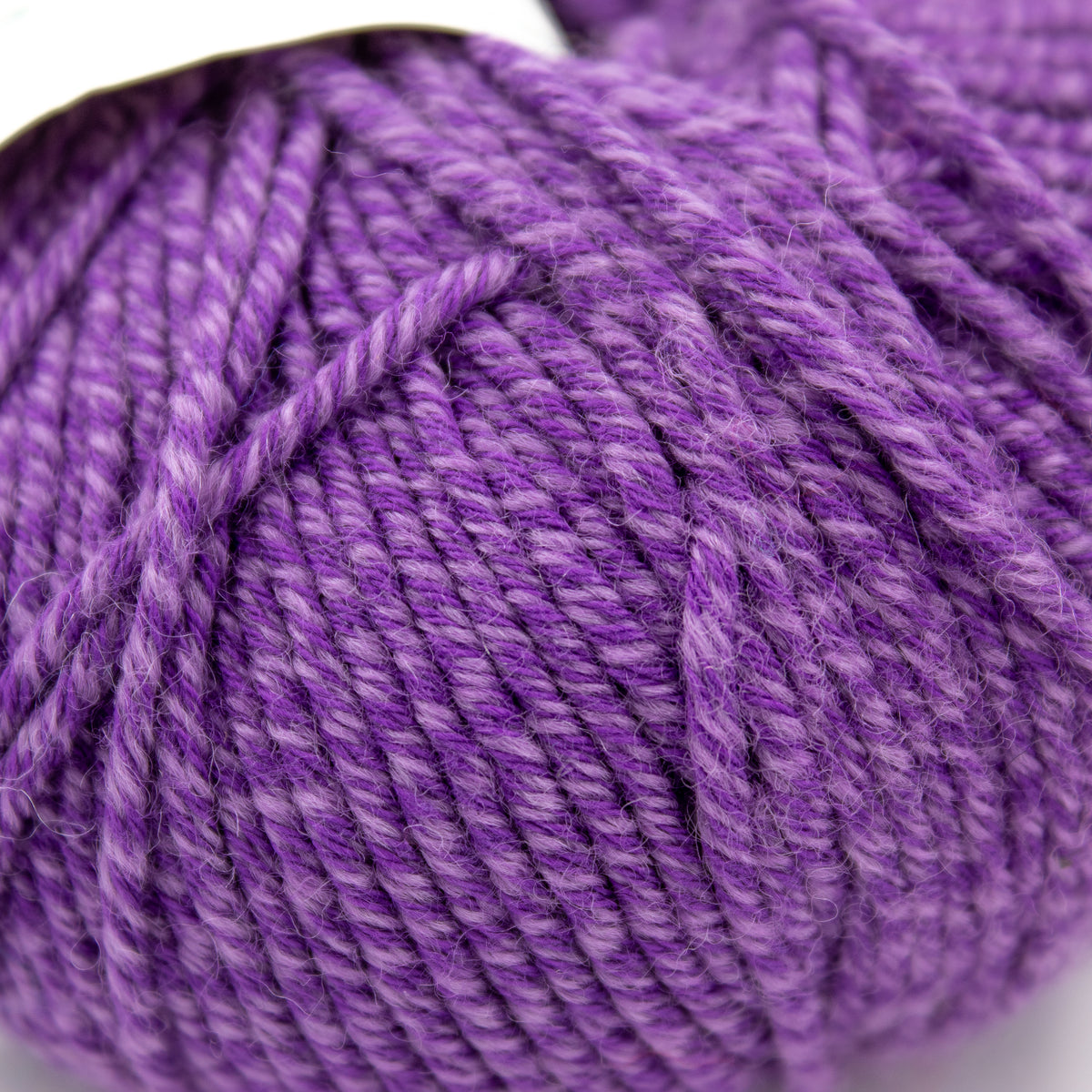 Classic Elite Verde Collection Chesapeake in Grape (5979)