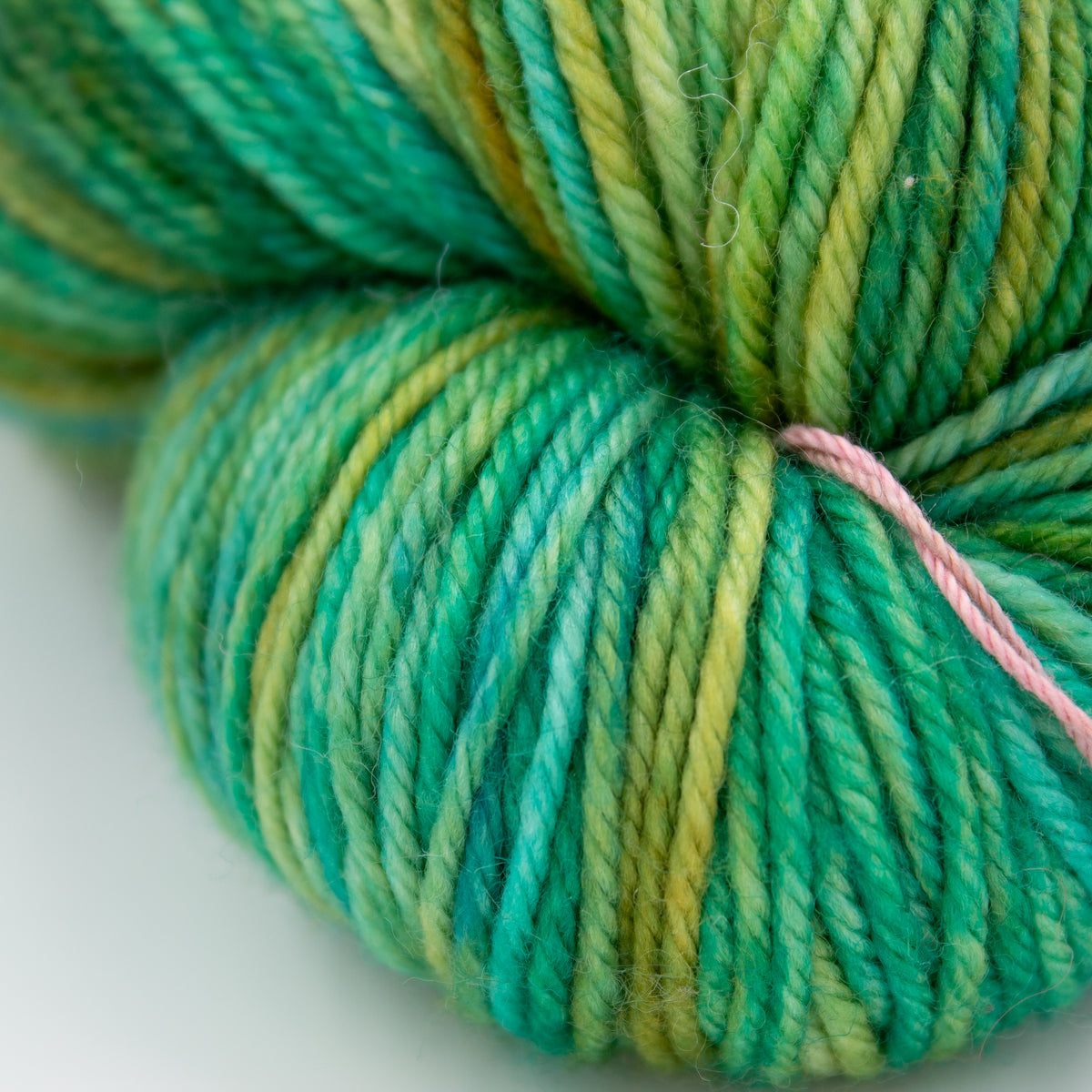 Dream in Color Yarn Classy in OOAK