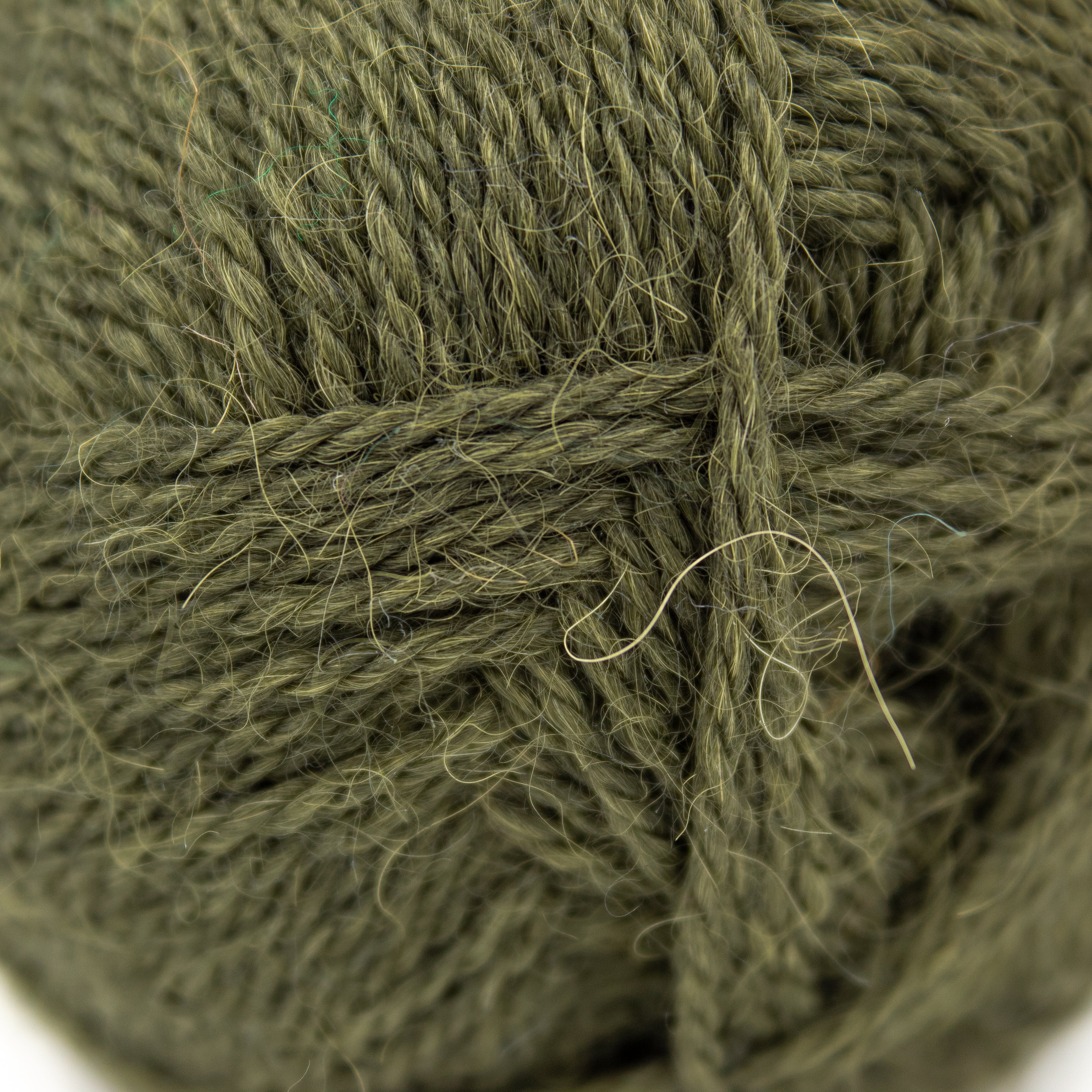 Drops Alpaca in Dark Forest