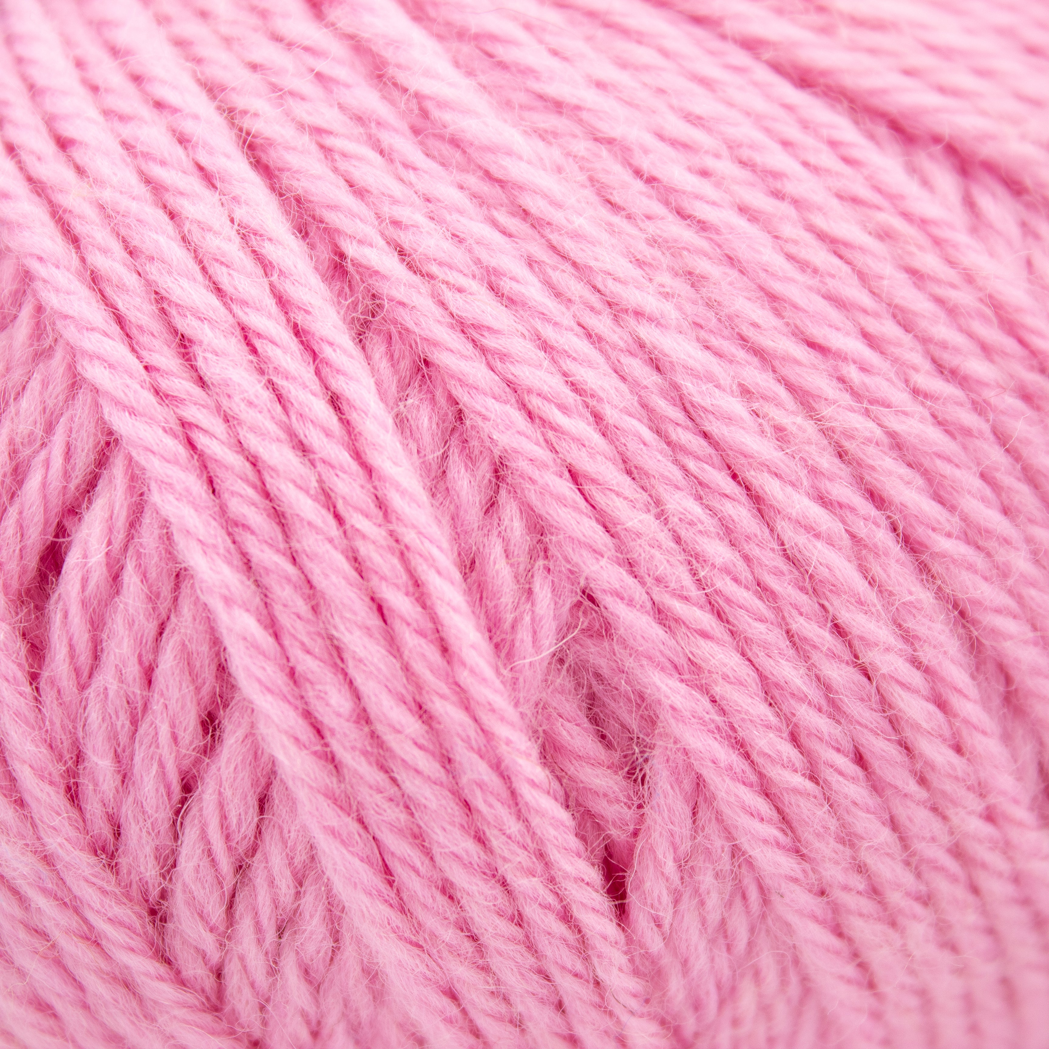 Ella Rae Classic Superwash in Pink