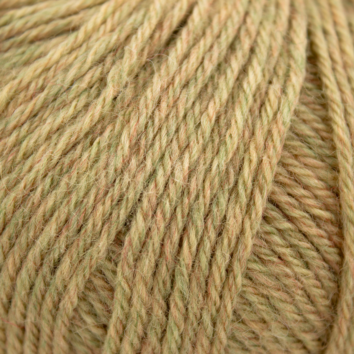 Ella Rae Superwash Classic Wool in Banana Boat Heather