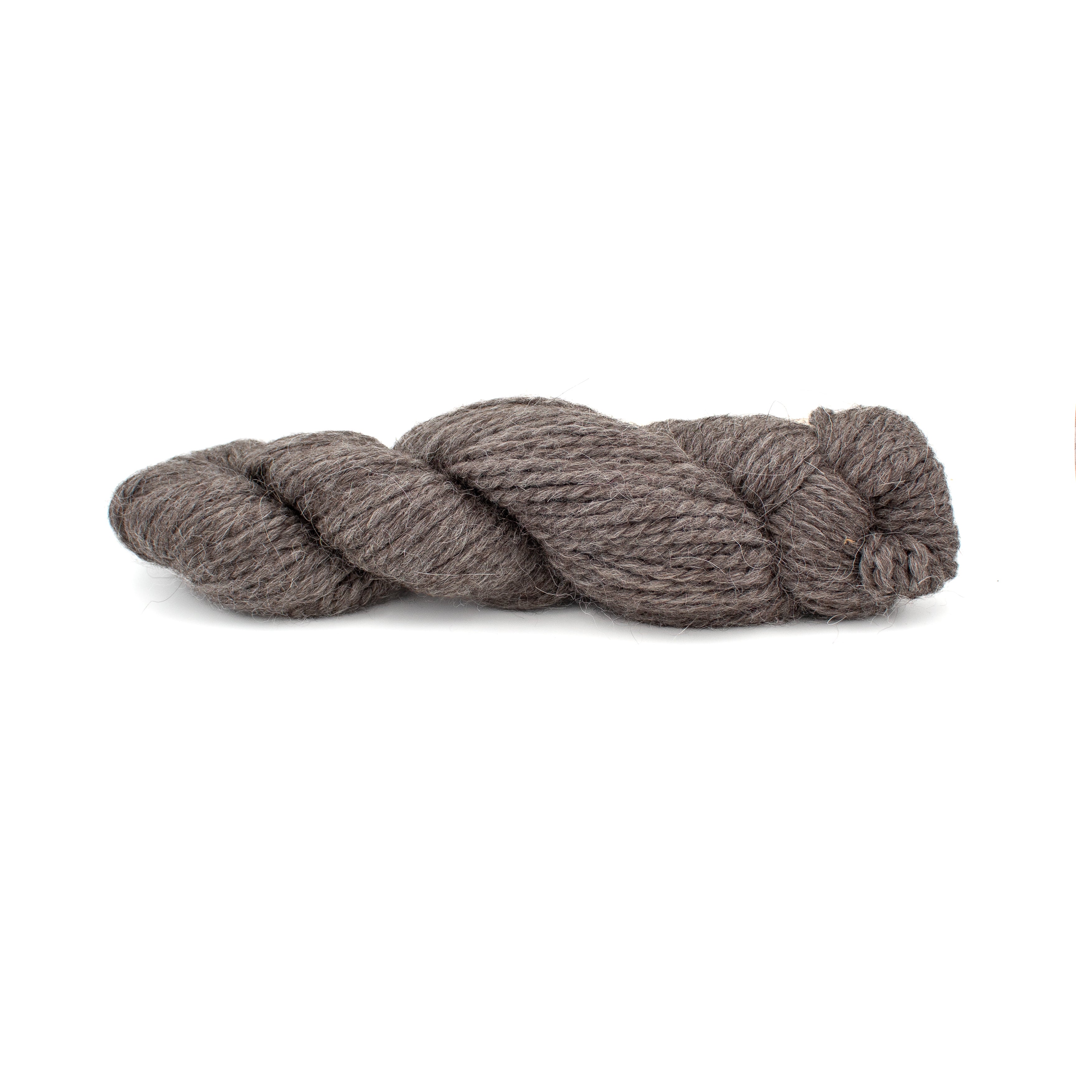 Illimani Llama II in Grey