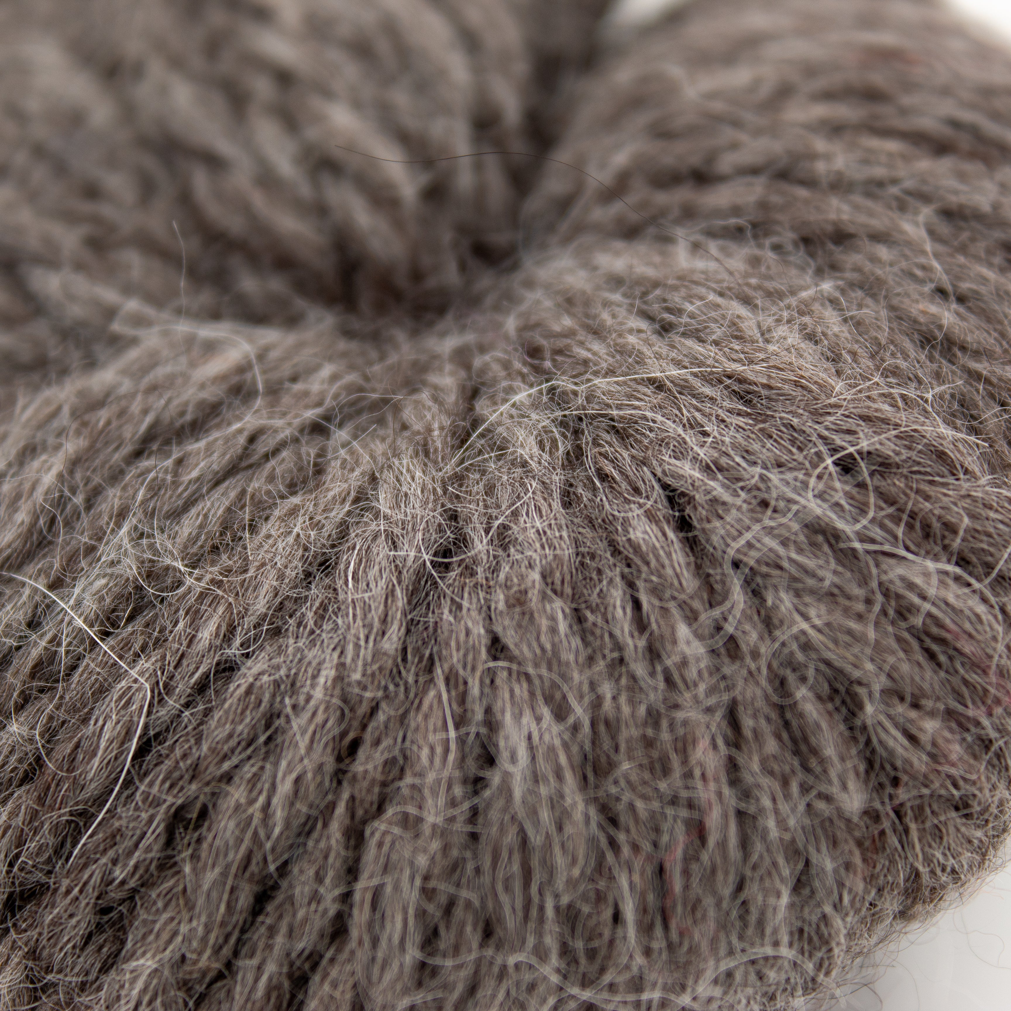 Illimani Llama II in Grey
