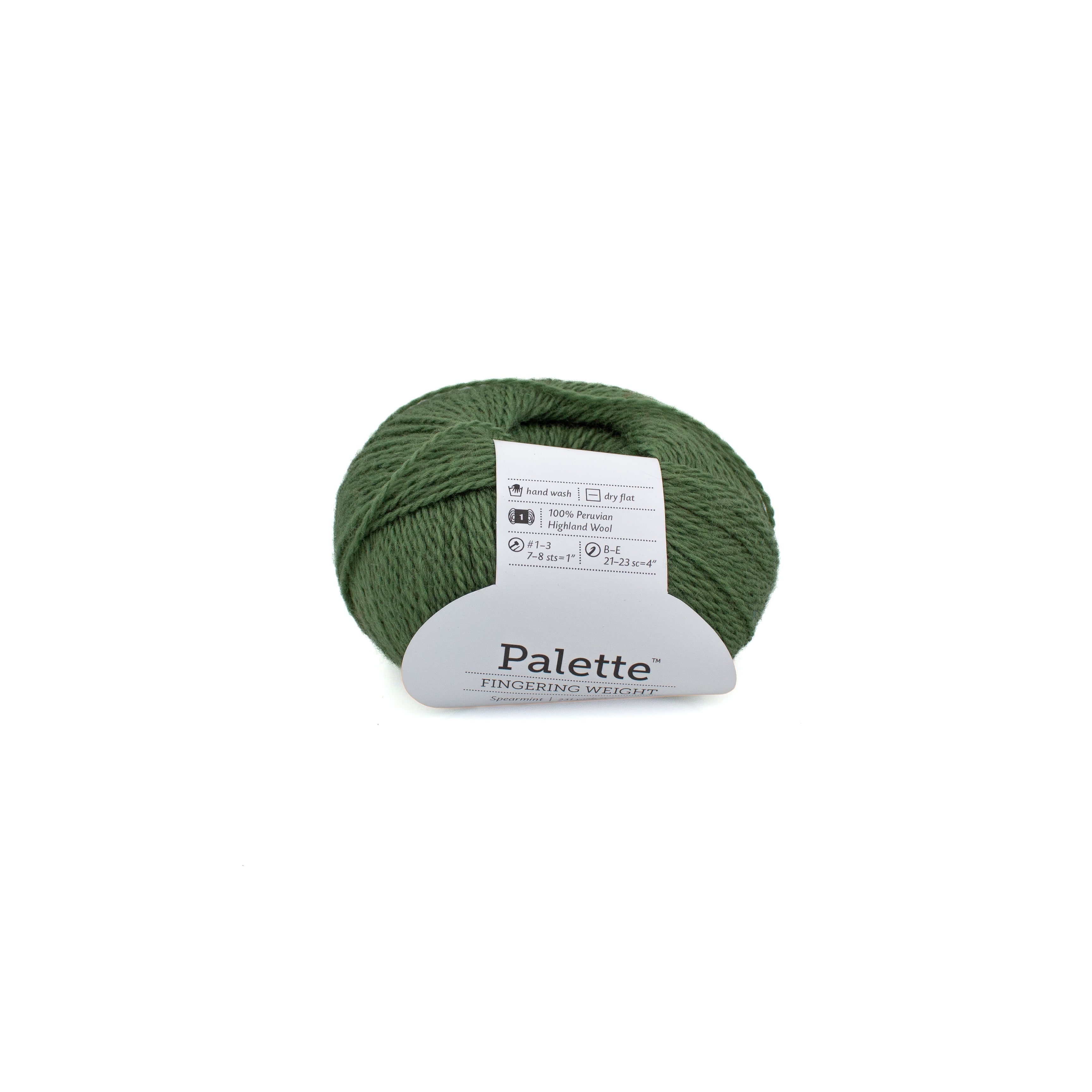 Knit Picks Palette in Spearmint