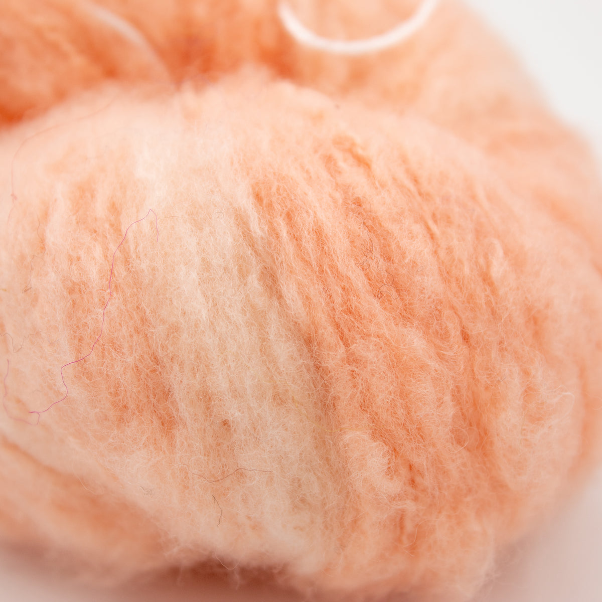 Koigu Andra in AM3