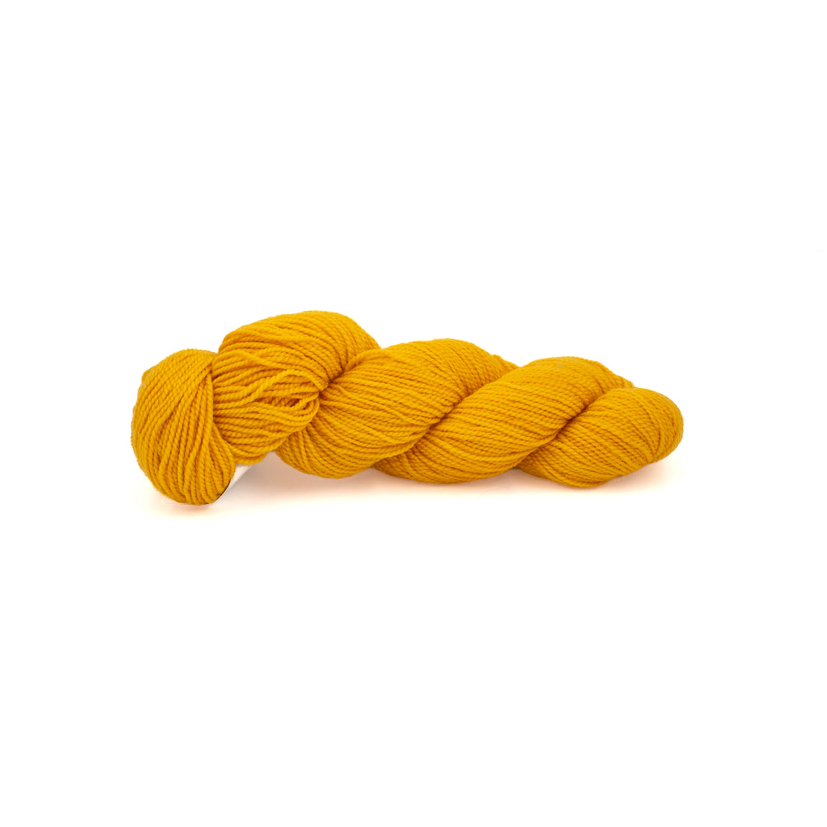 Koigu KPM in Goldenrod (2180)