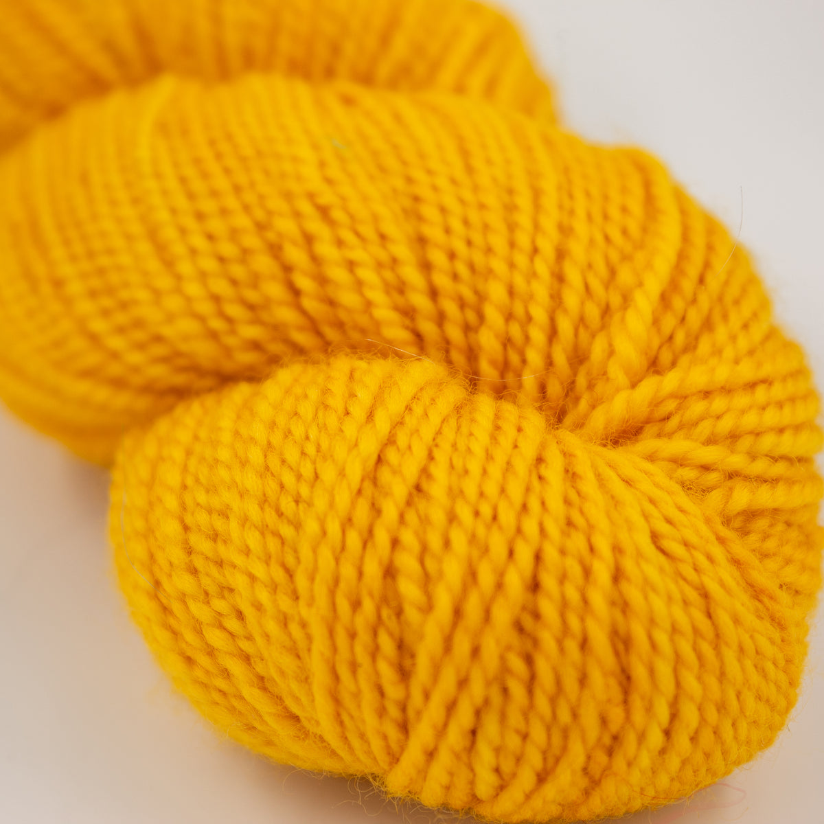 Koigu KPM in Goldenrod (2180)