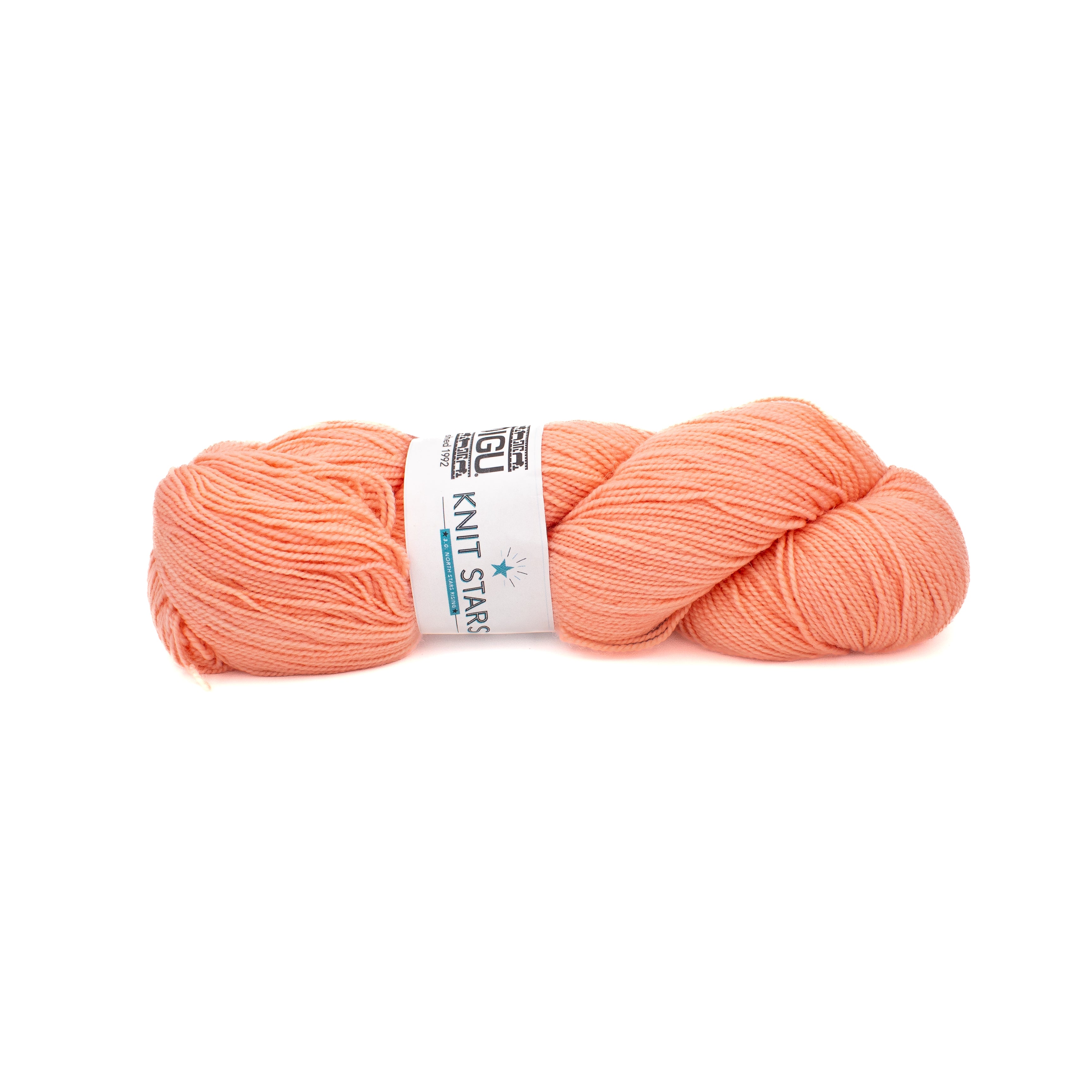 Koigu KPPPM 100g in Peach