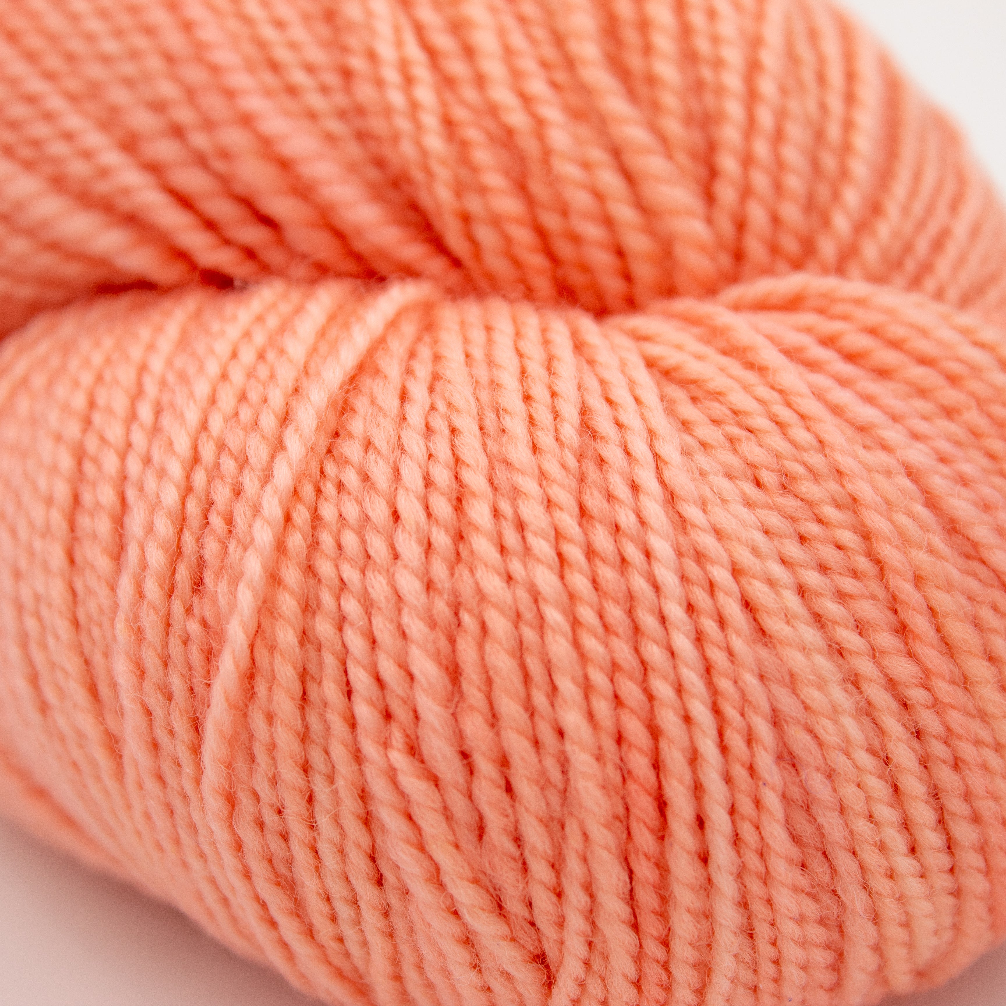 Koigu KPPPM 100g in Peach