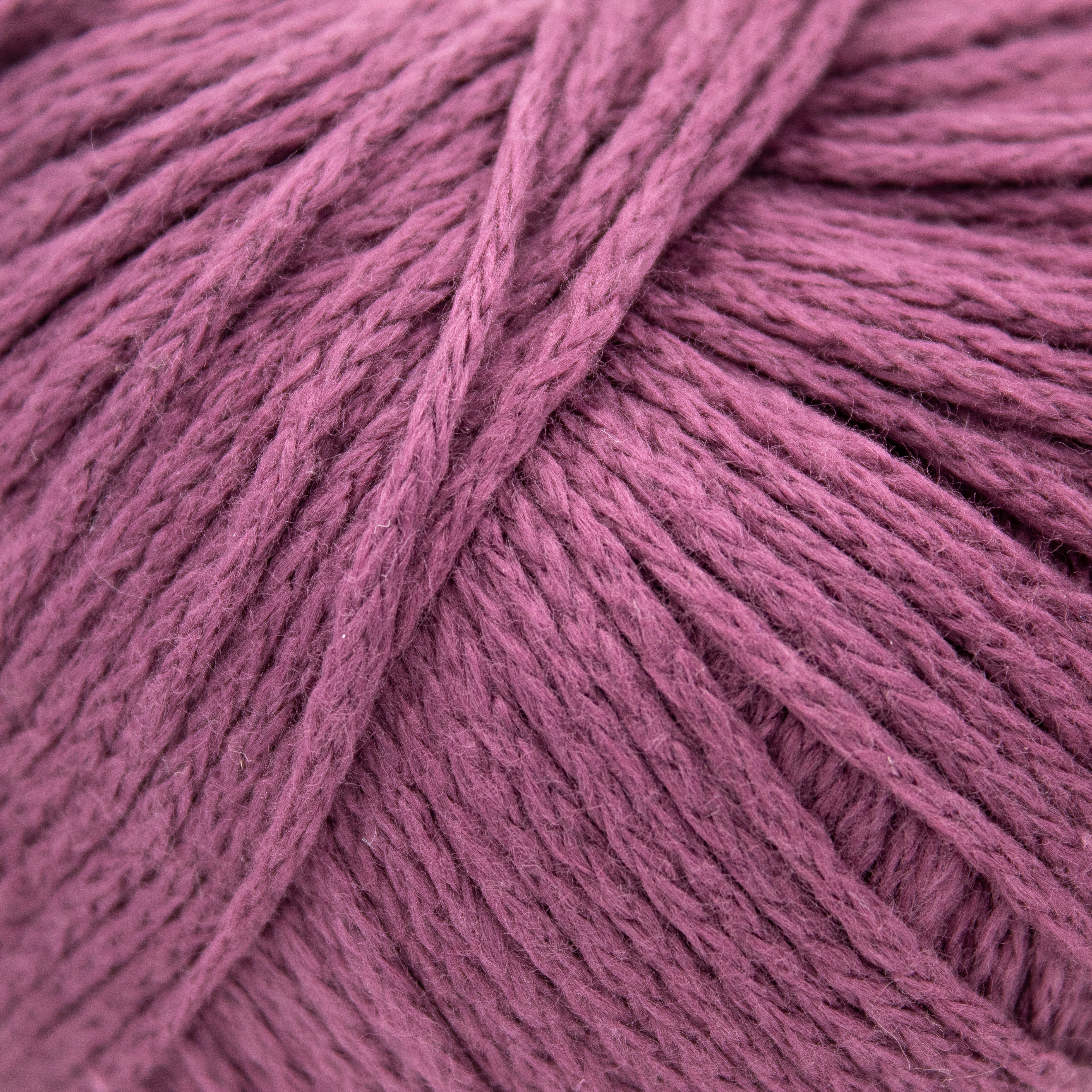 Lana Grossa 365 Cotone in Eggplant