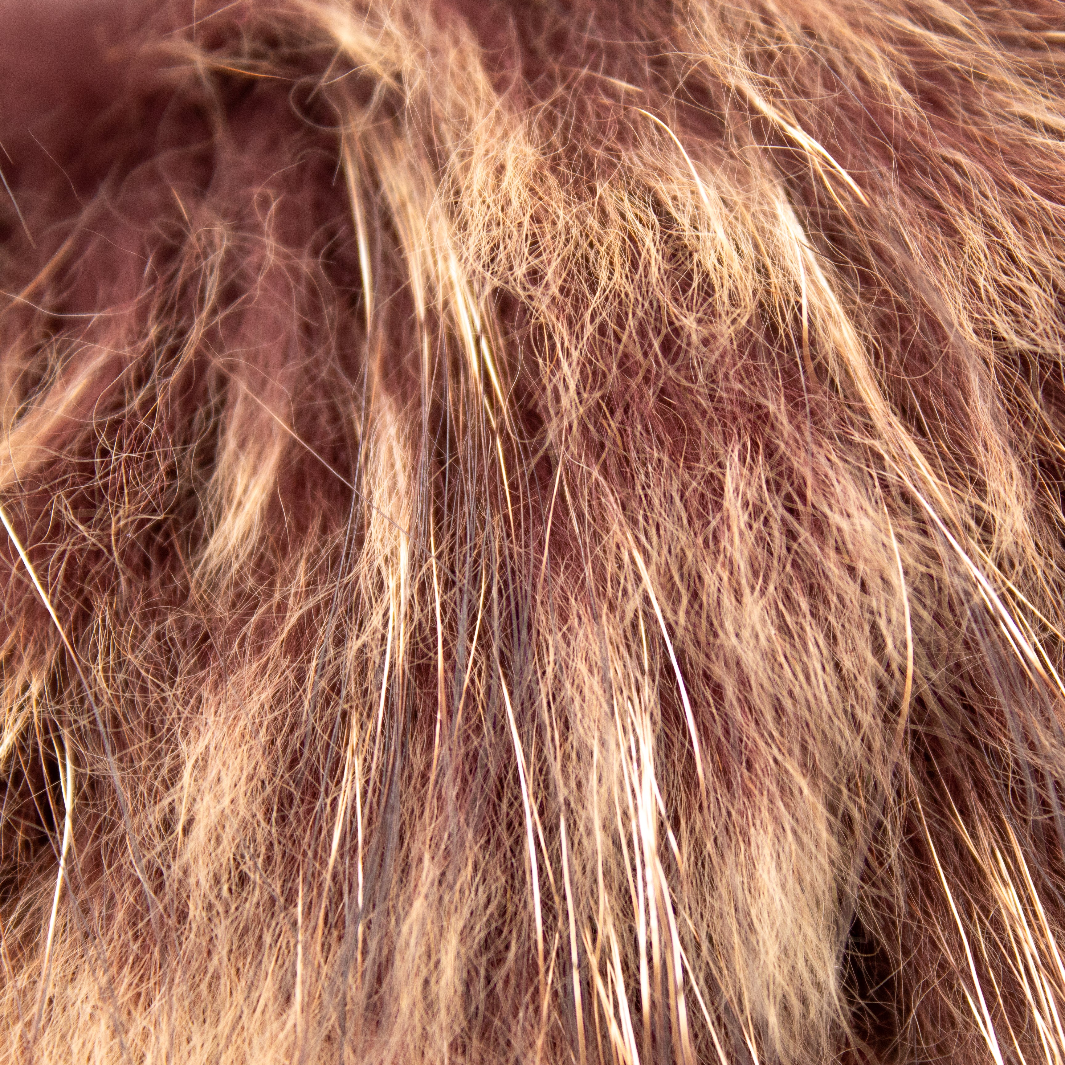 Lana Grossa Finnracoon Pom Pom with Snap in Chestnut