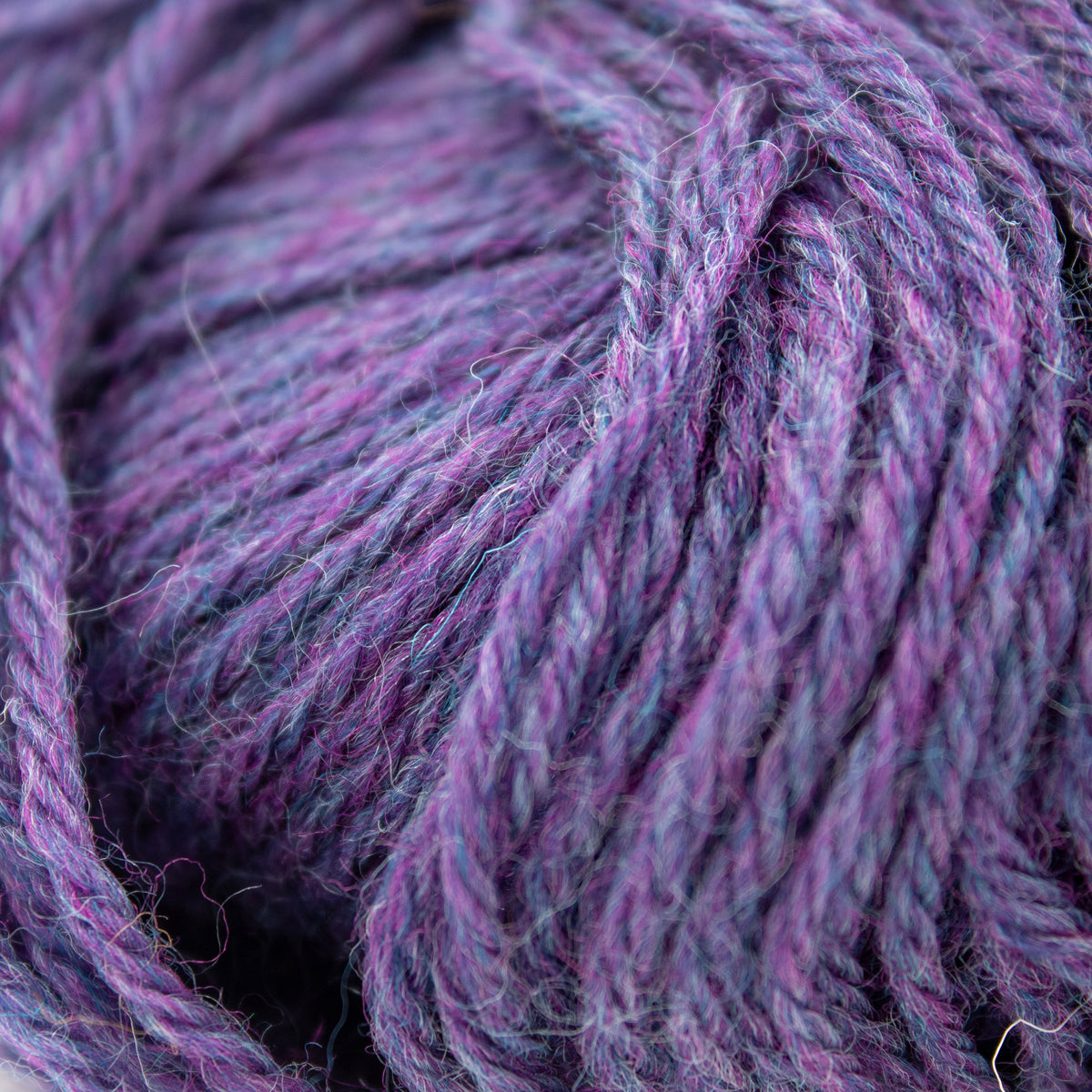 Lane Borgosesia 7 Settembre in Eggplant (41264)