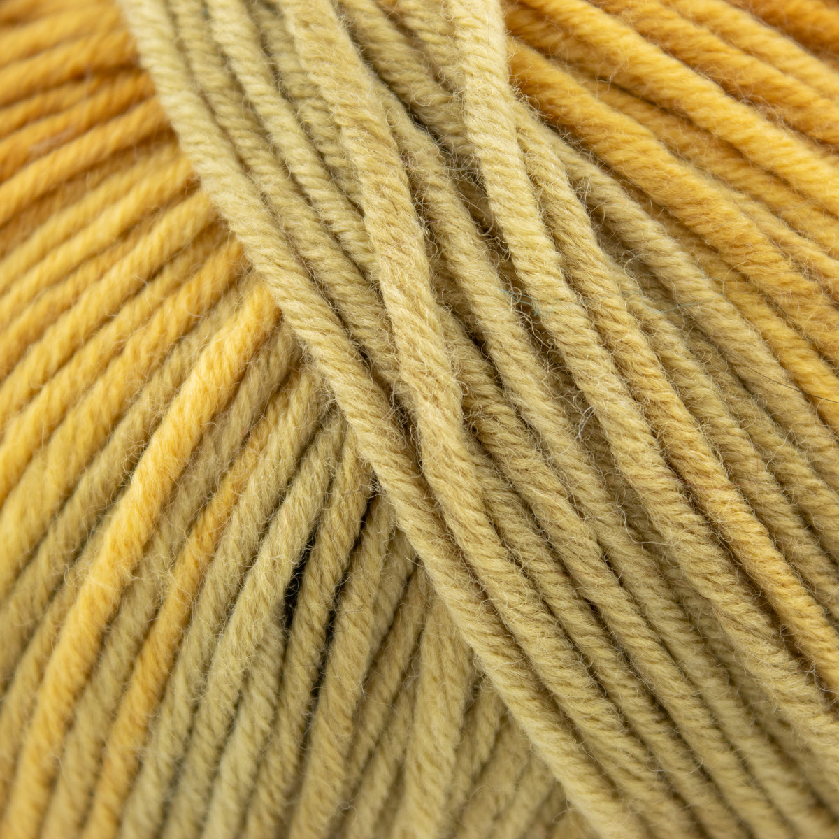 Lang Merino + Color in Gold Grey (11)