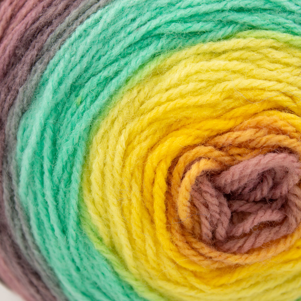 Lion Brand Mandala in Valkyrie