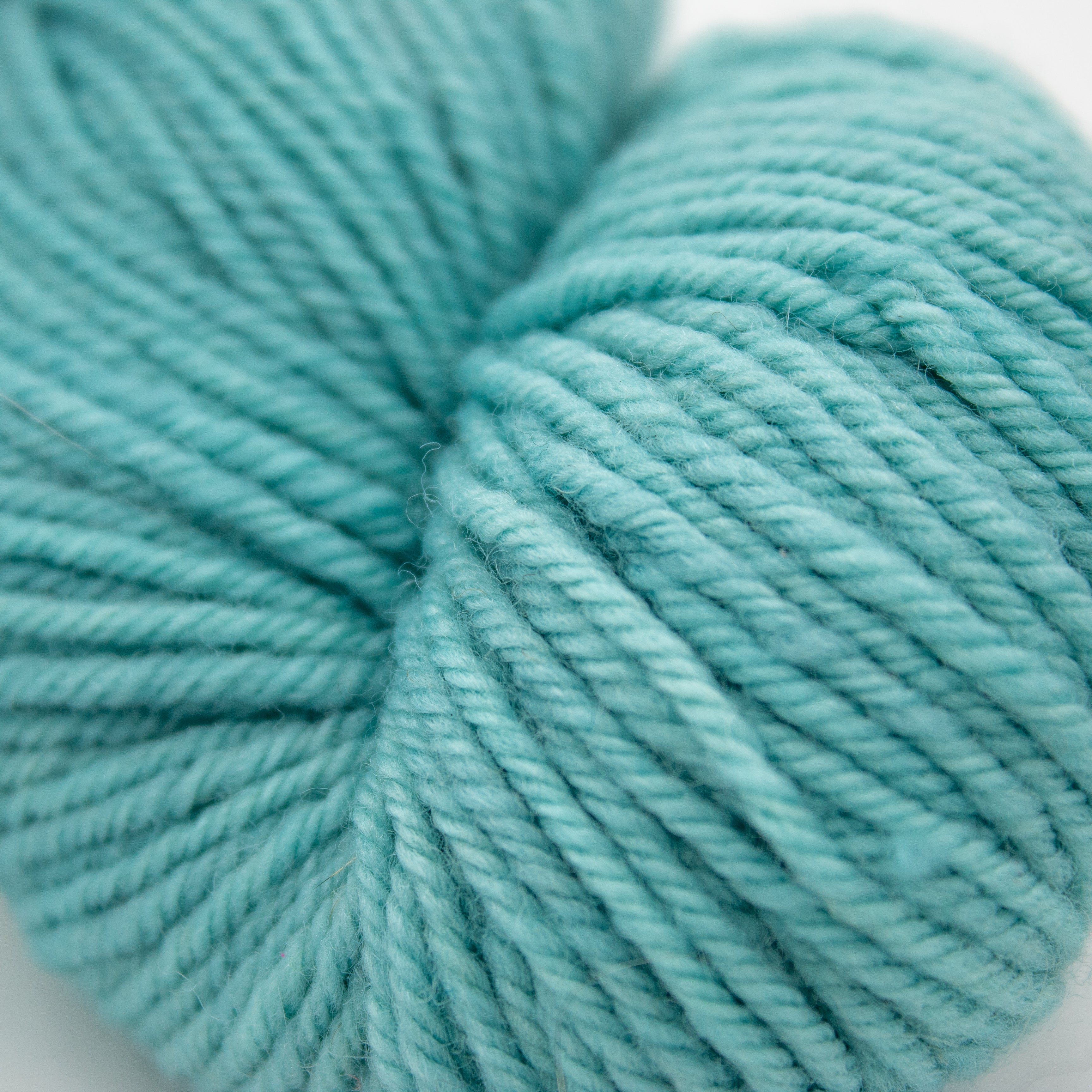 Magpie Fibers Domestic Worsted in Agave