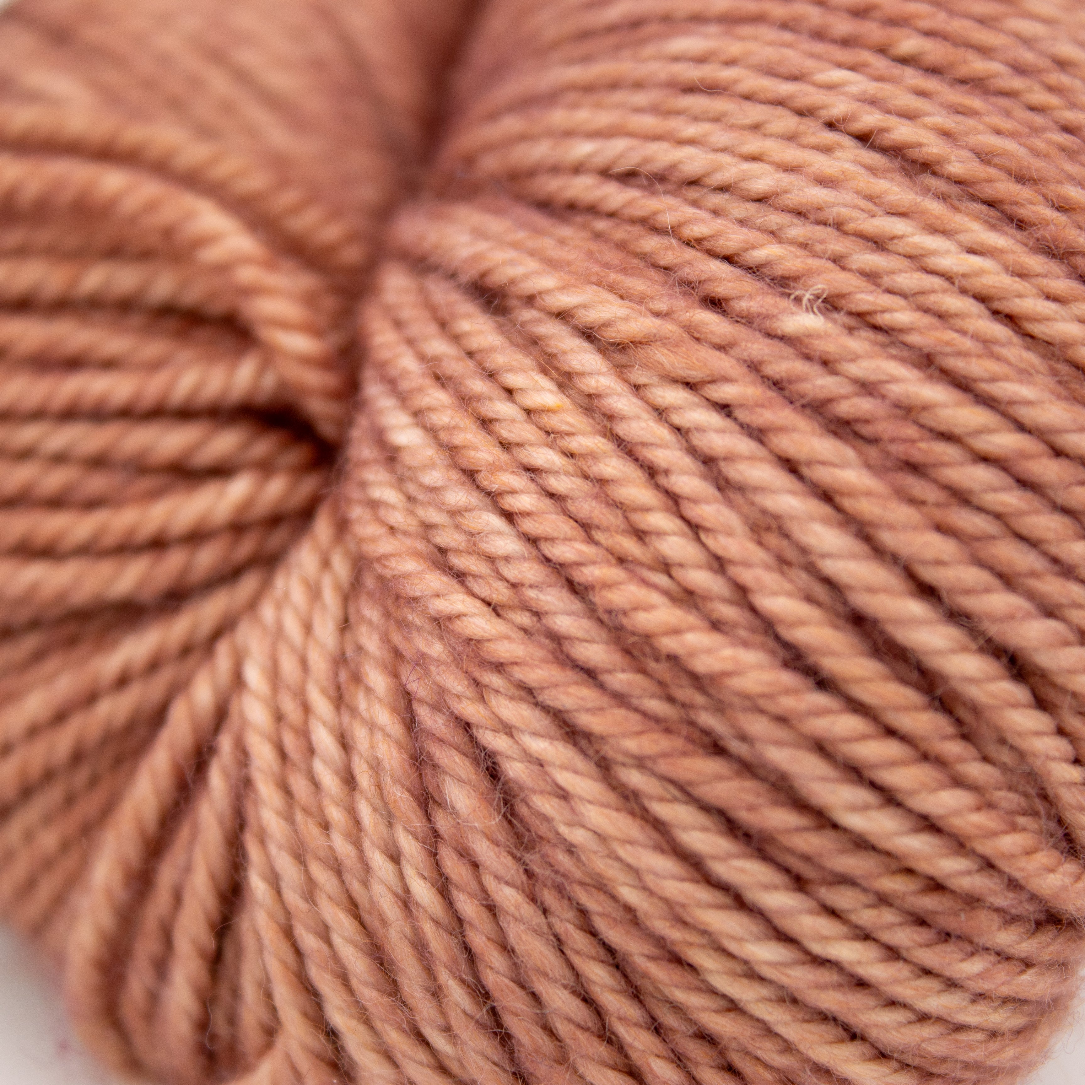 Magpie Fibers Swanky DK in Bougie Beaver