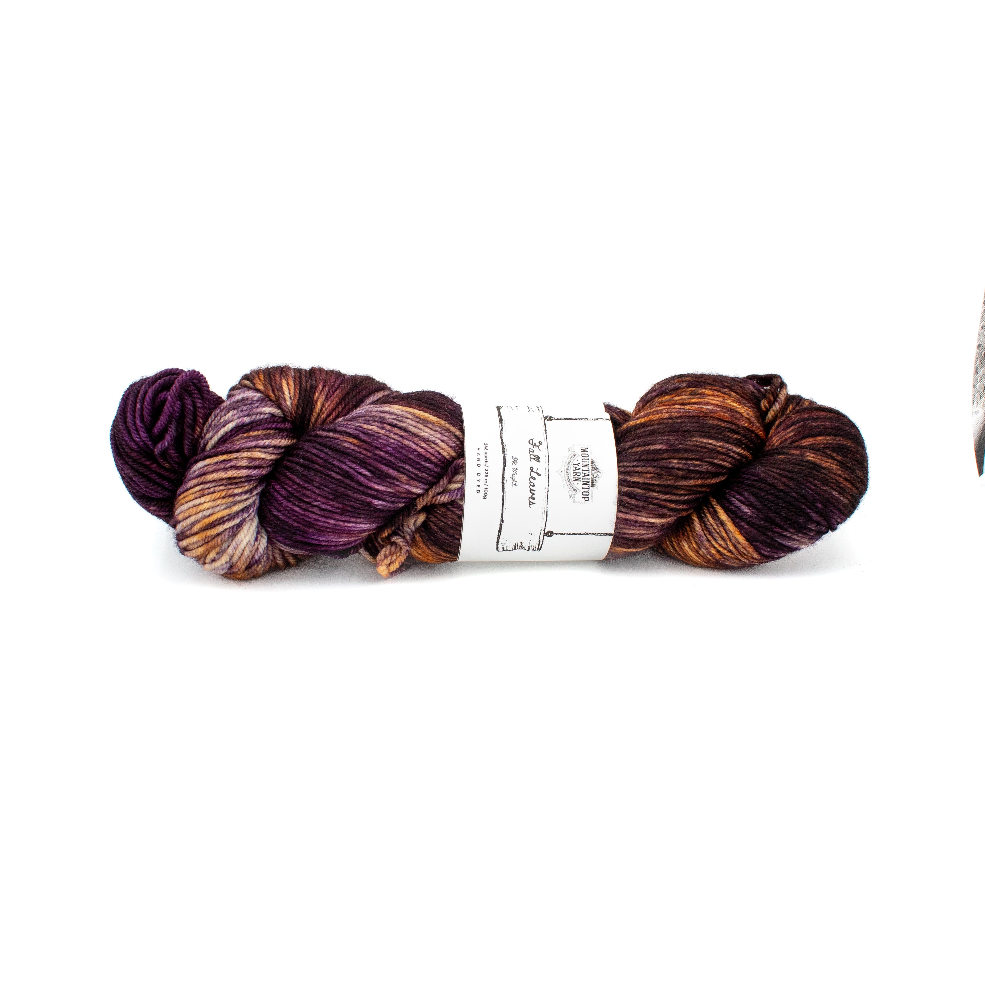 Mountaintop Yarn DK in Fall Leaves