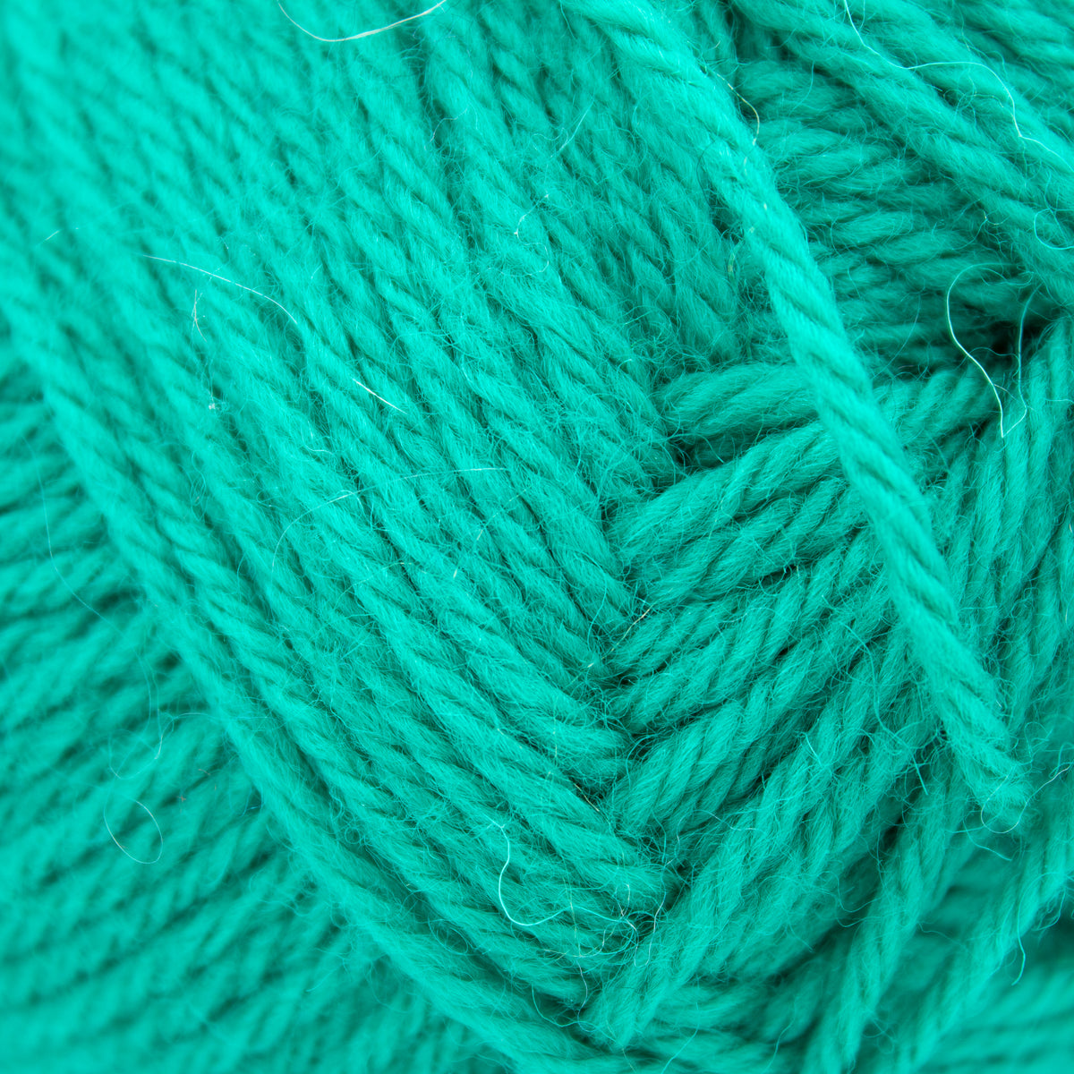 Nashua Handknits Creative Focus Superwash in Emerald