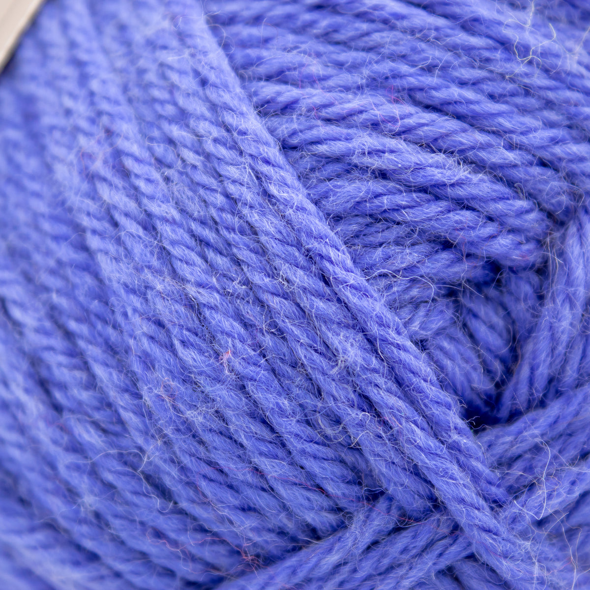 Nashua Handknits Creative Focus Superwash in Pansy