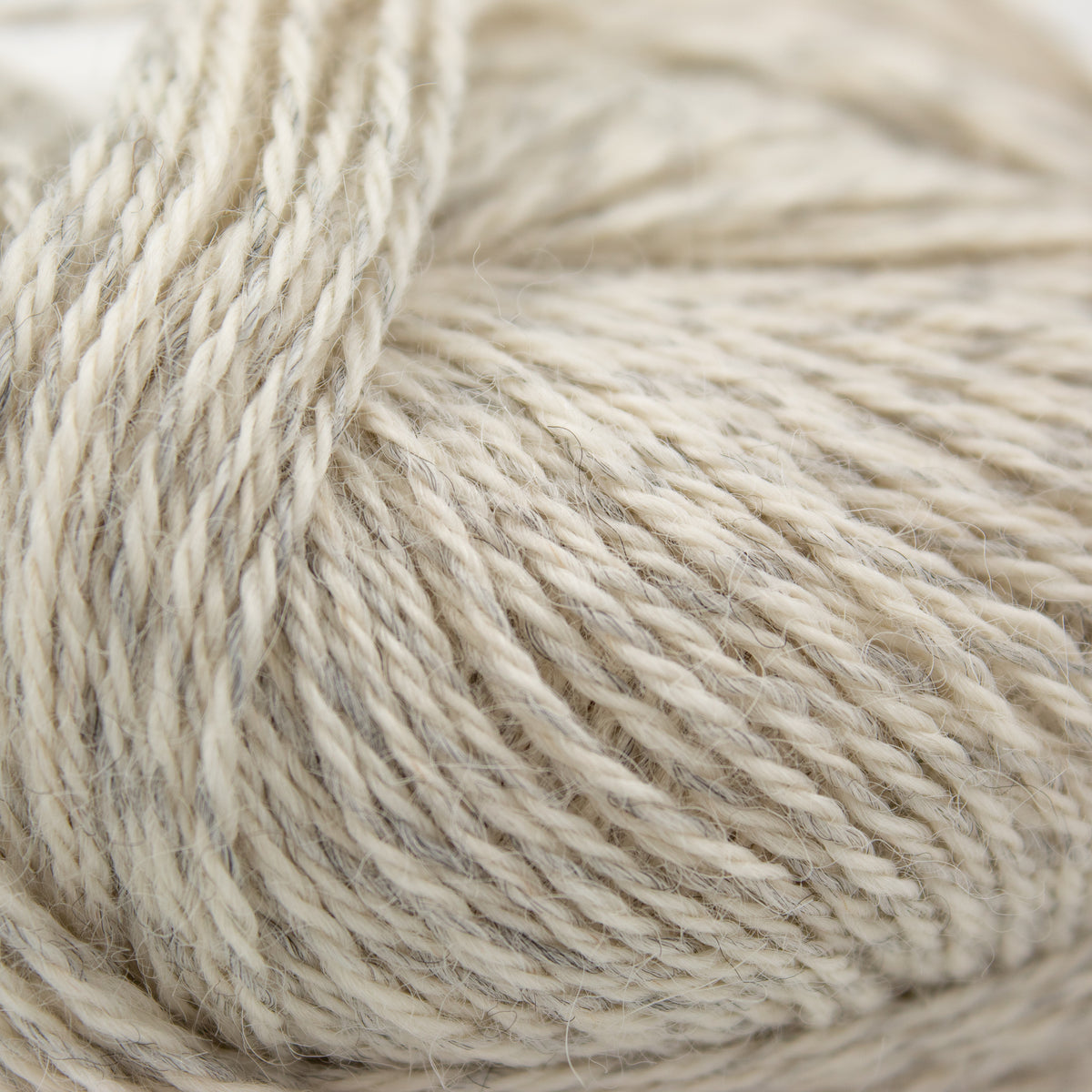 Pickles Pure Thin Alpaca in Kamskjell
