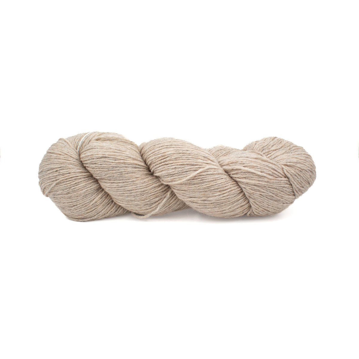 Queensland Tenderfoot in Old Ivory