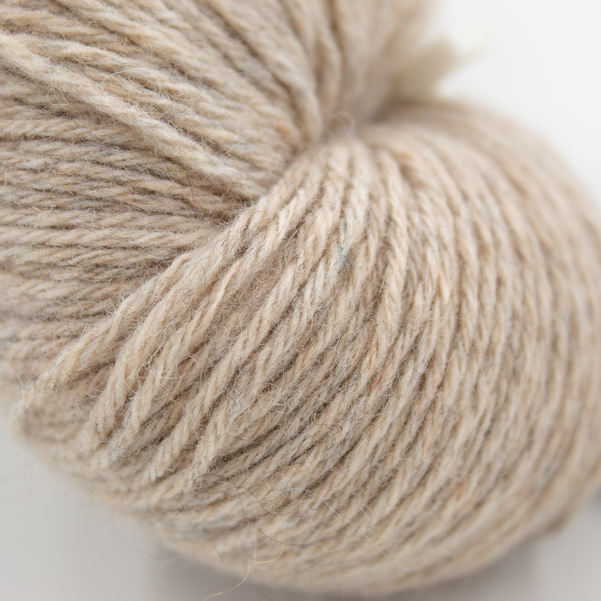 Queensland Tenderfoot in Old Ivory