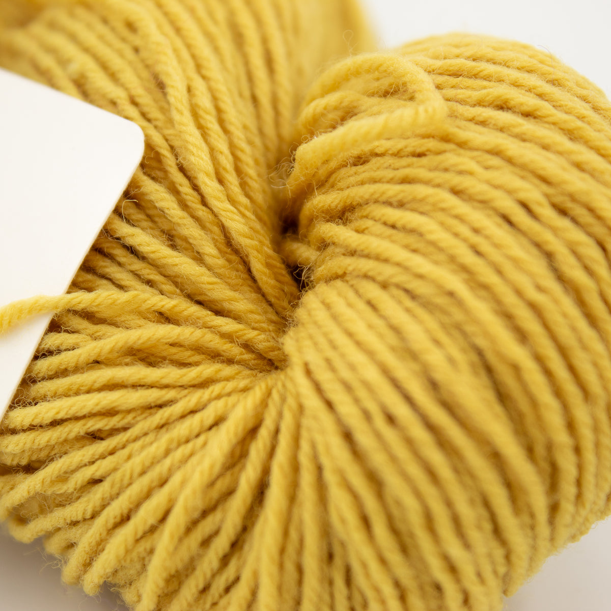 Quince & Co. Finch in Carrie's Yellow