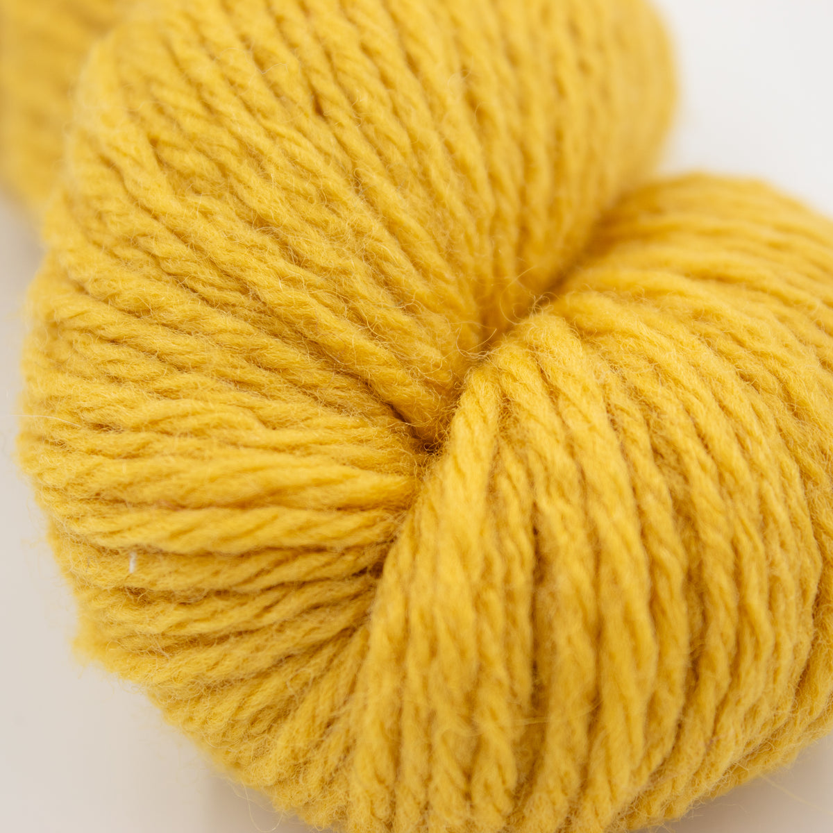 Quince & Co. Lark in Carrie's Yellow