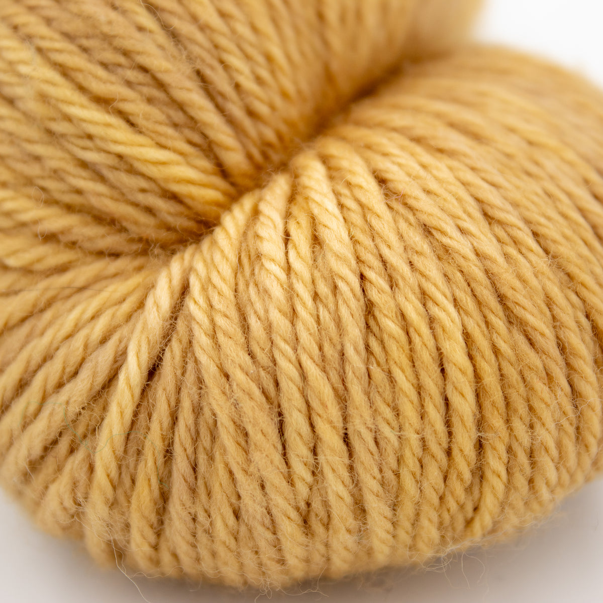 Red Door Fibre Studio Classic Worsted in You're Free
