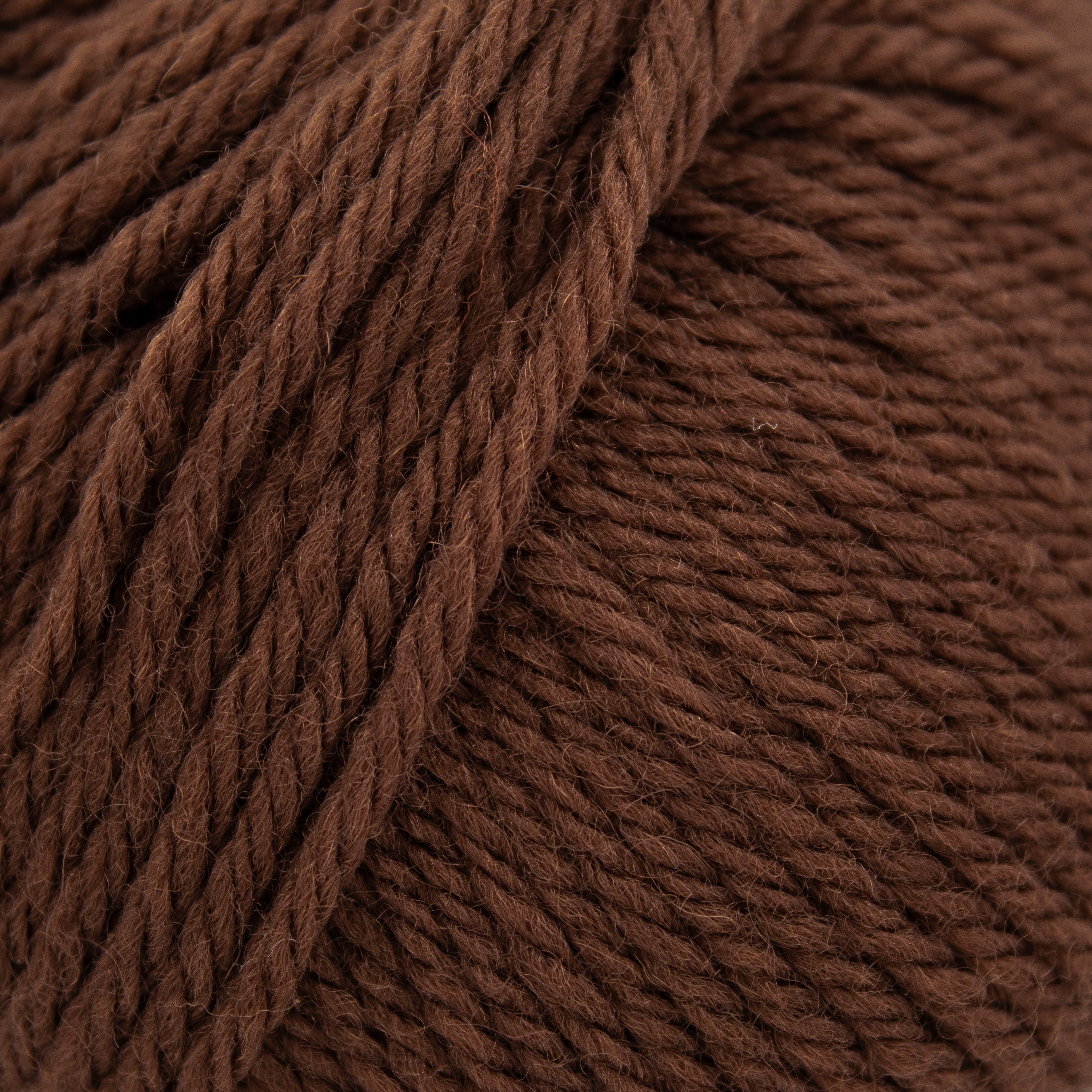 RichMore Spectre Modem (スペクトルモデム) in Brown