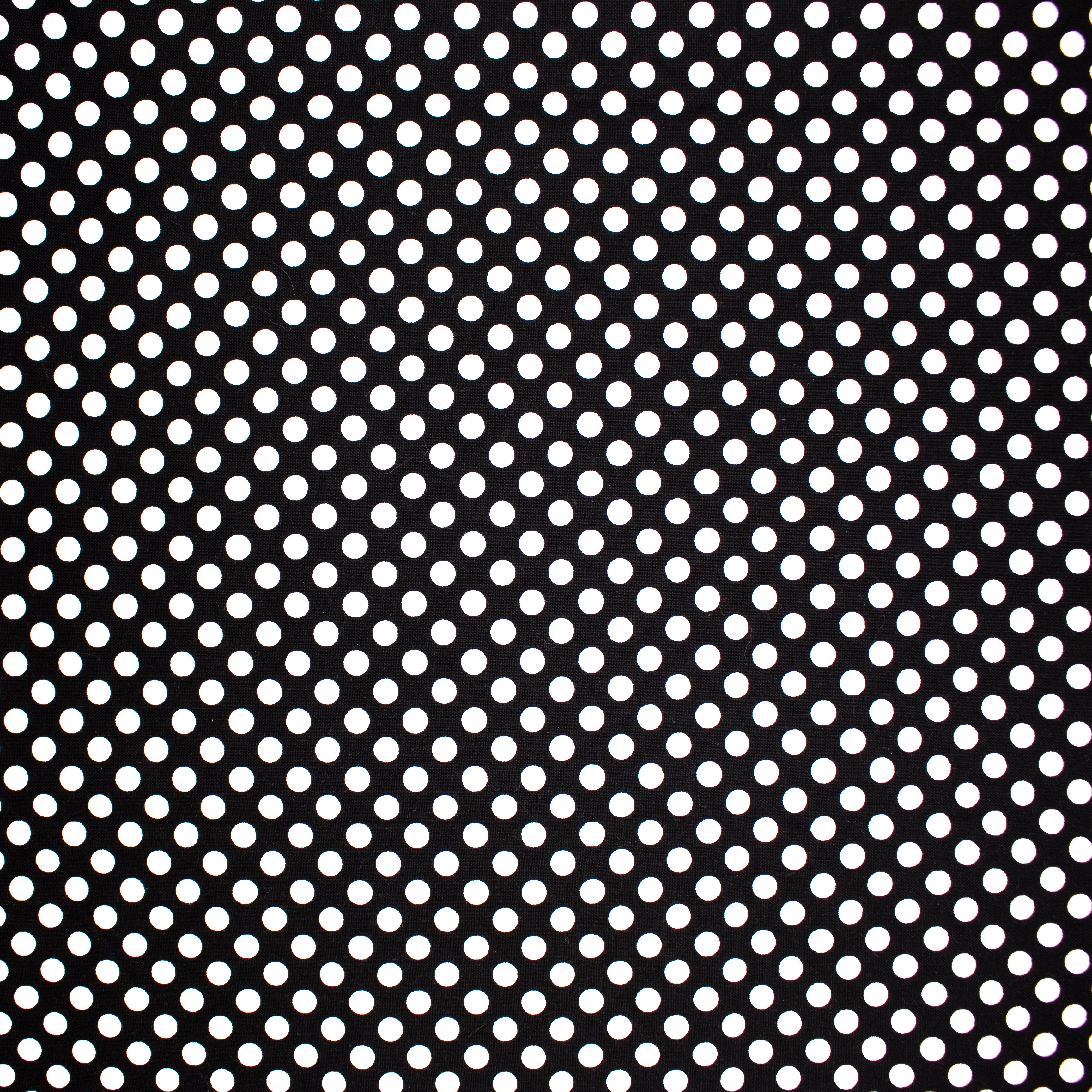 Riley Blake Black & White Polka Dot Cotton