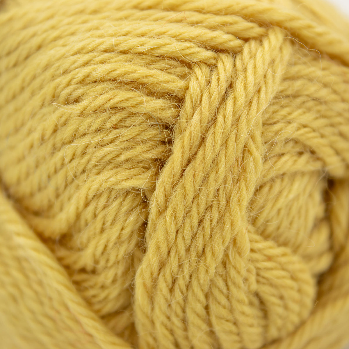 Sandnes Garn Alpakka Ull in Maize Yellow (2015)